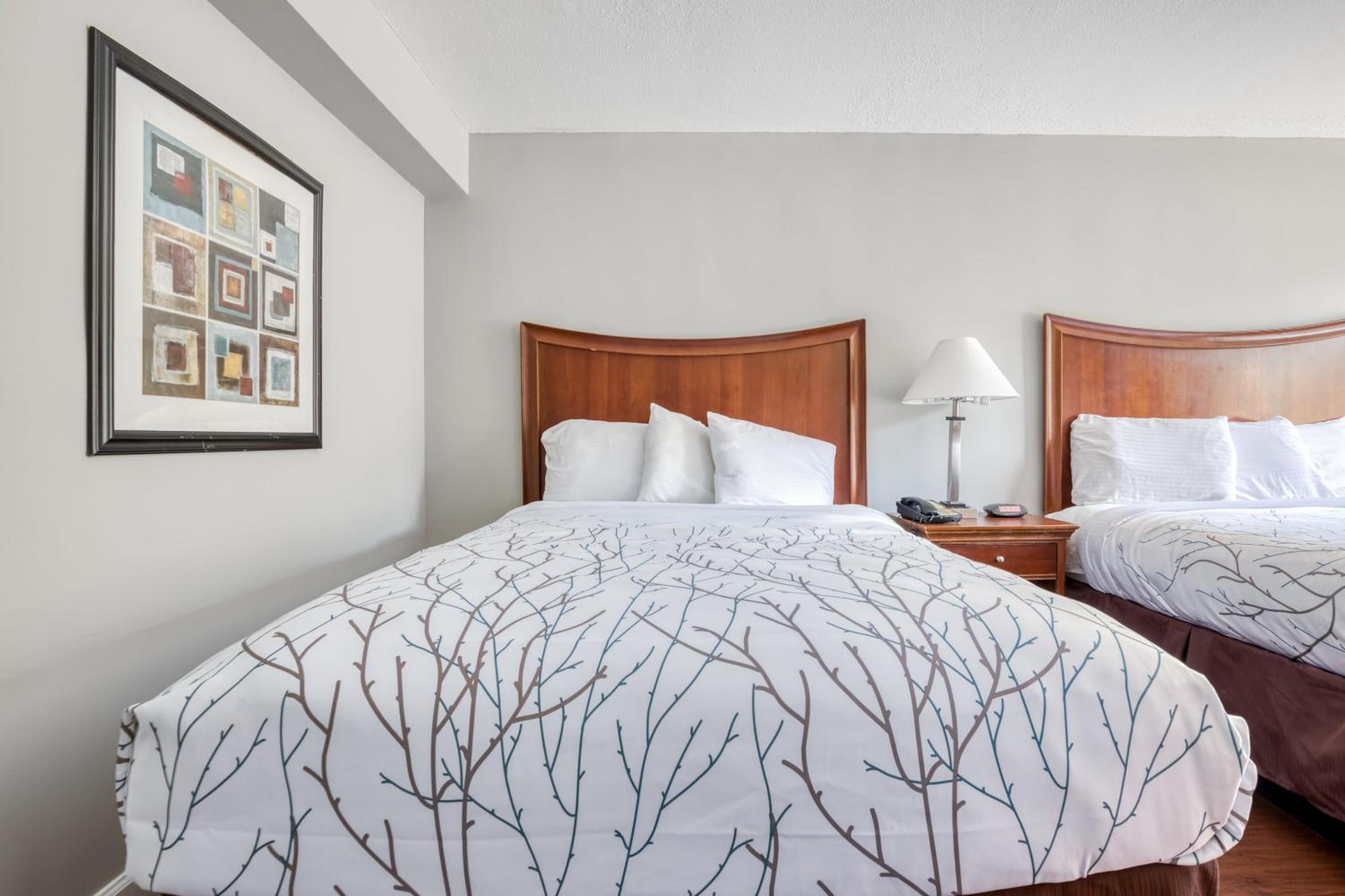 2 Queen Beds - Photo 7