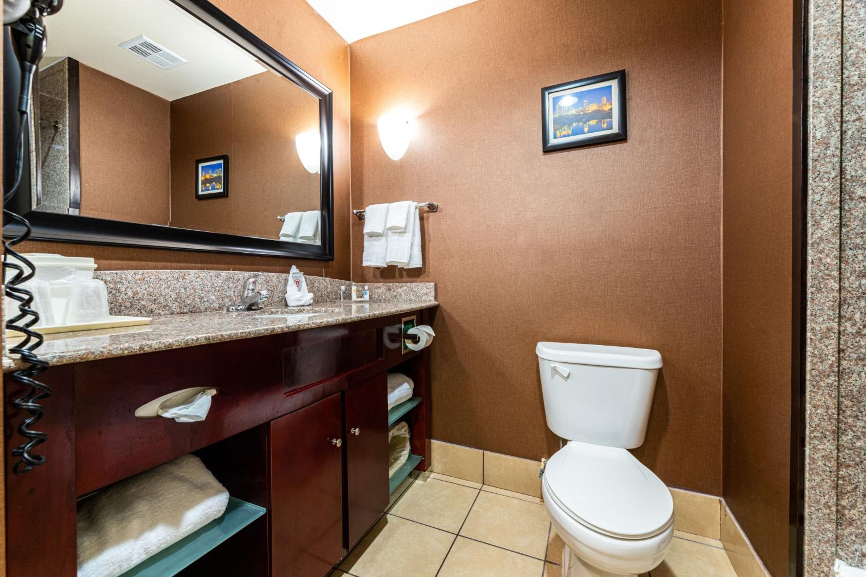Efficiency King Suite with Kitchenette  - Photo 9