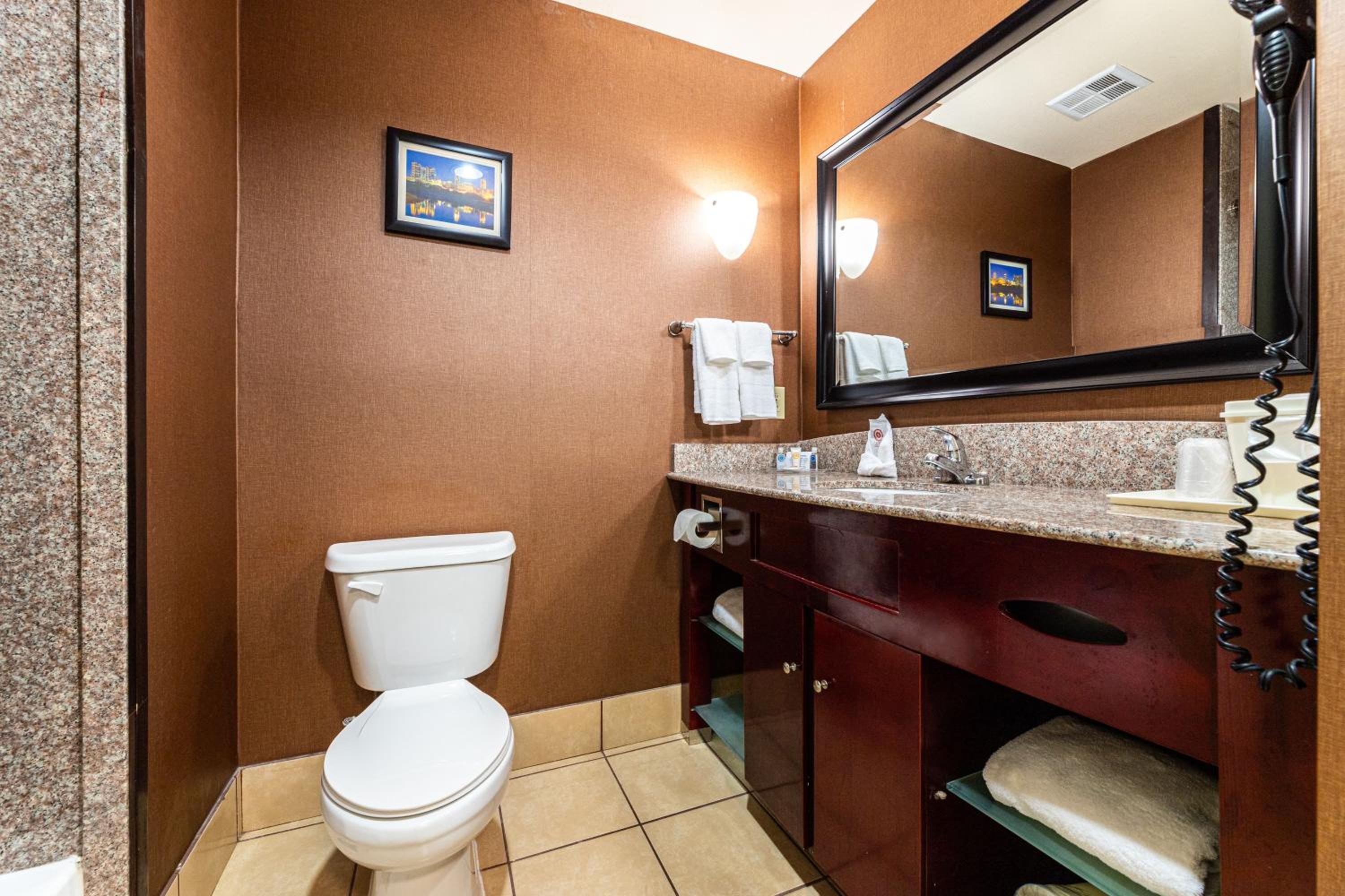 Efficiency King Suite with Kitchenette  - Photo 10