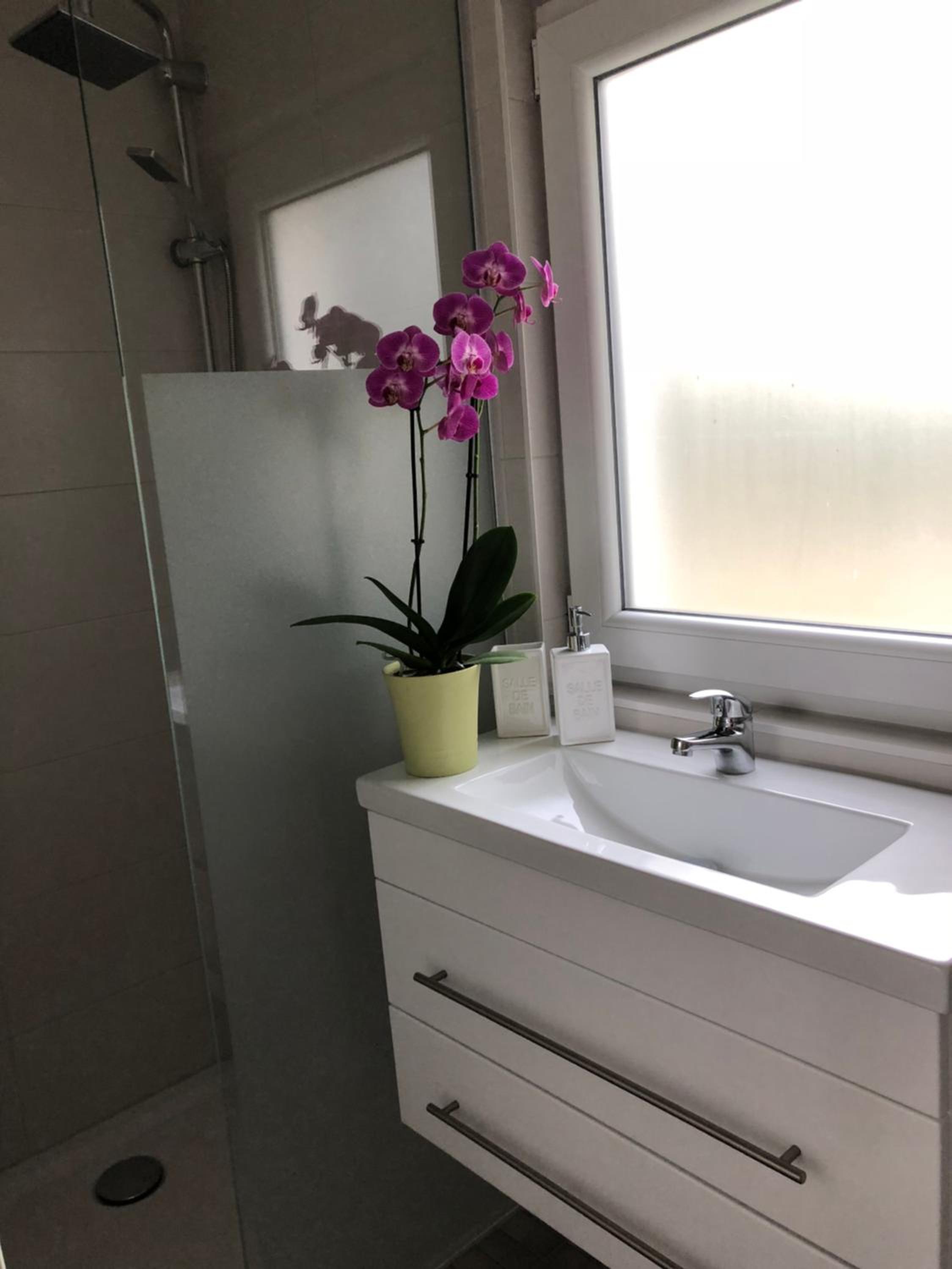 One-Bedroom House photo 2