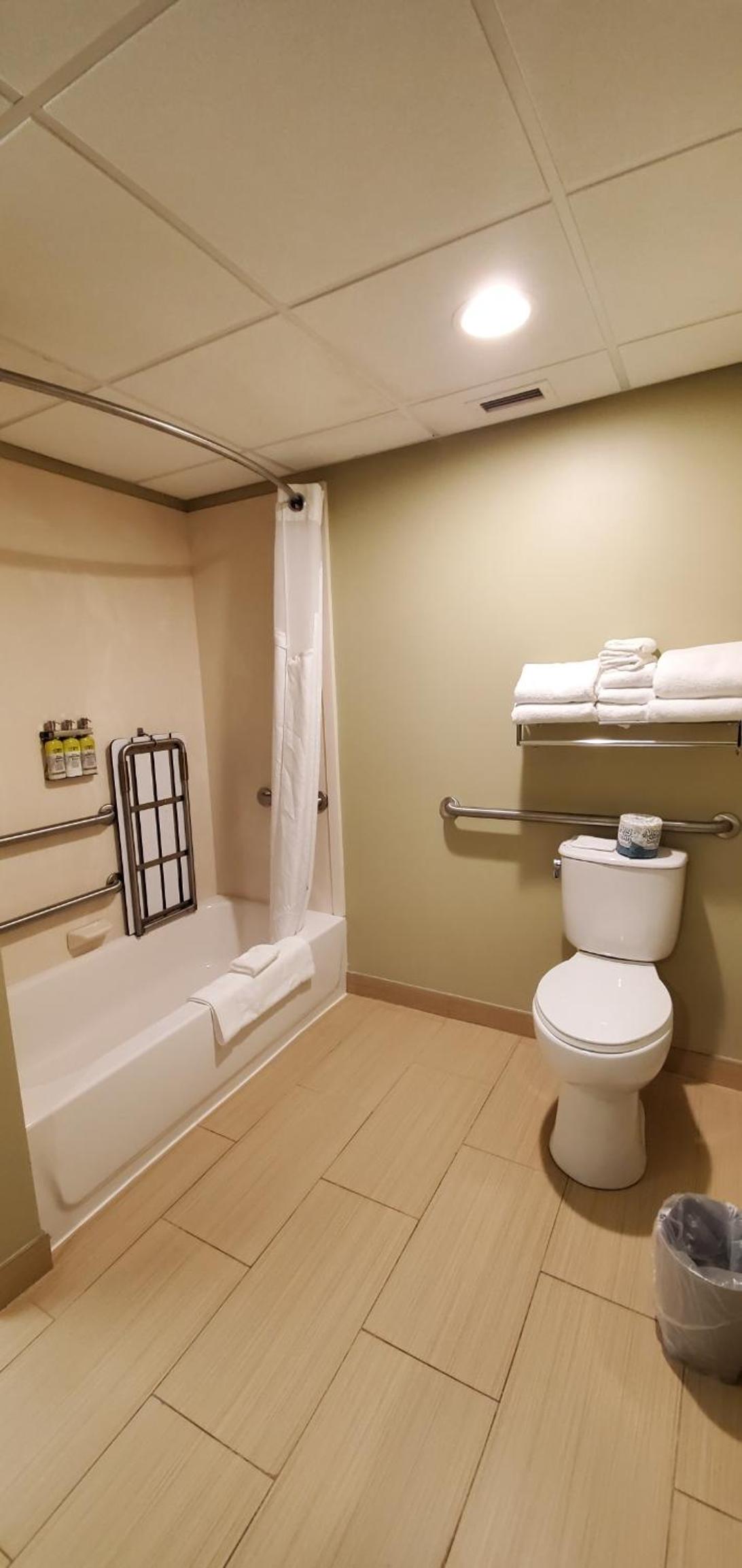 Standard King Room - Mobility Accessible - Photo 3
