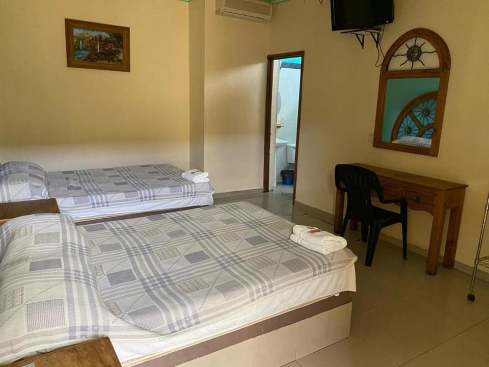 Twin Room photo 2