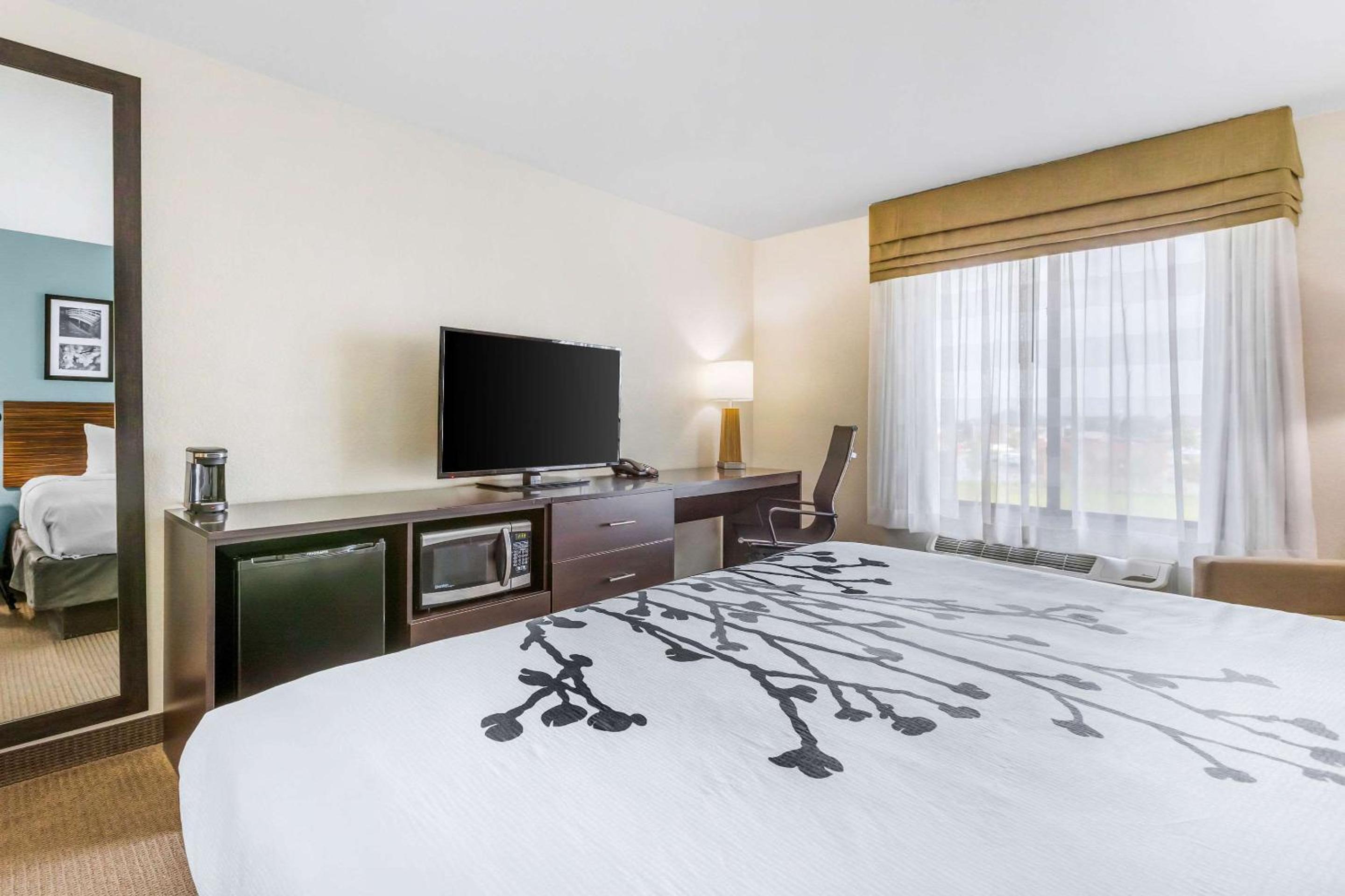 King Room - Non-Smoking photo 3