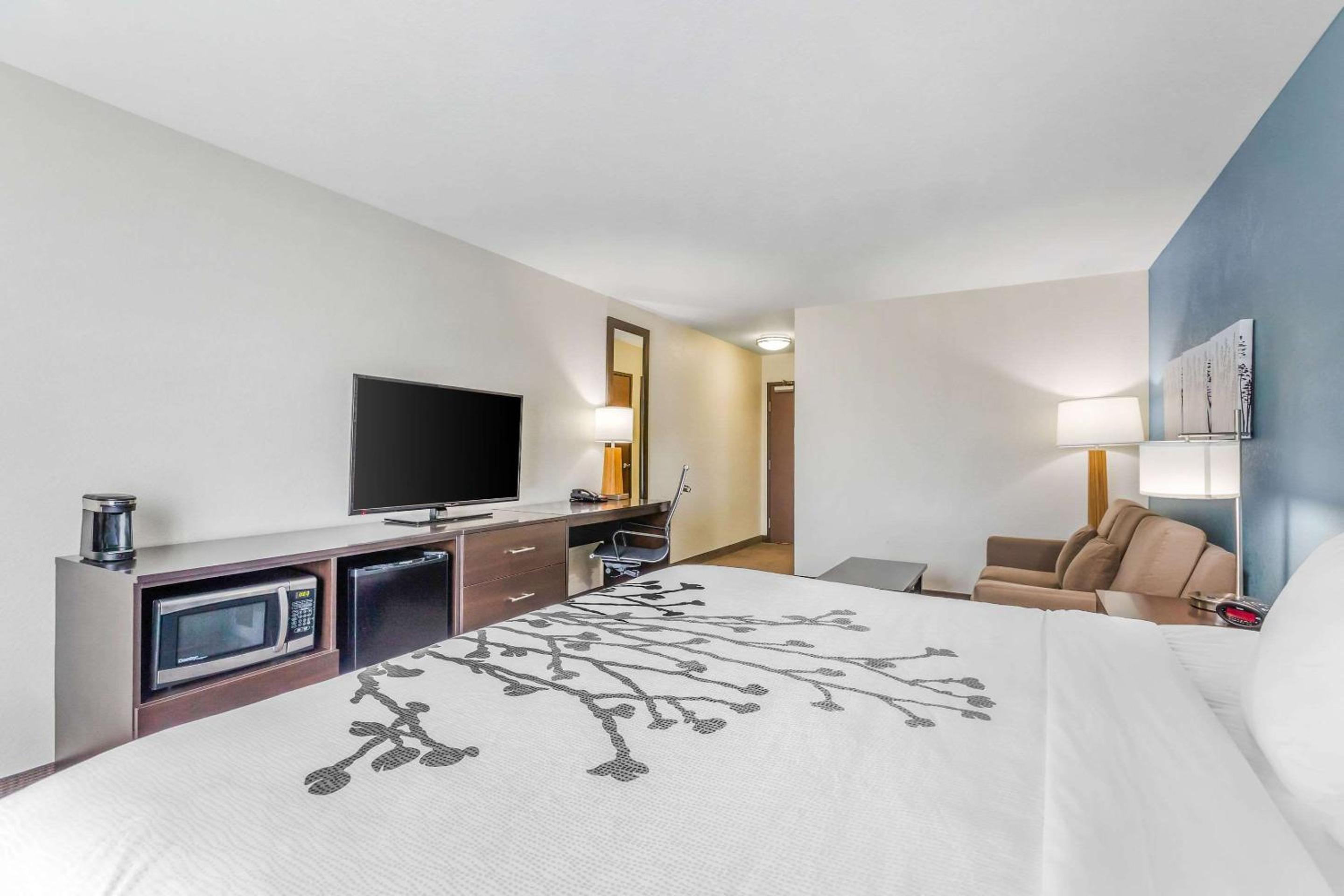 King Suite - Accessible/Non-Smoking photo 3