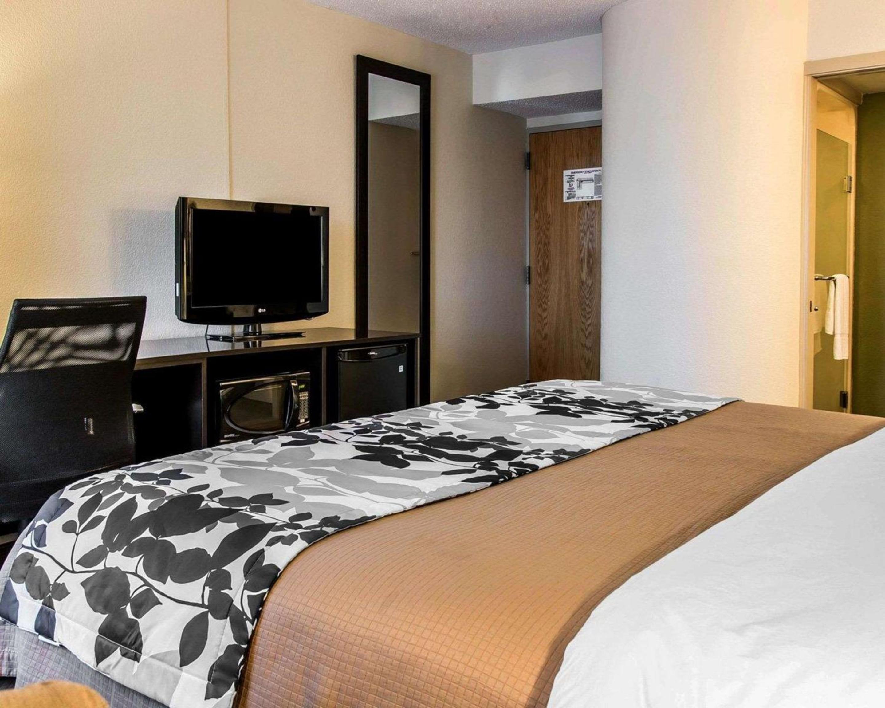 King Room - Non-Smoking - Photo 3