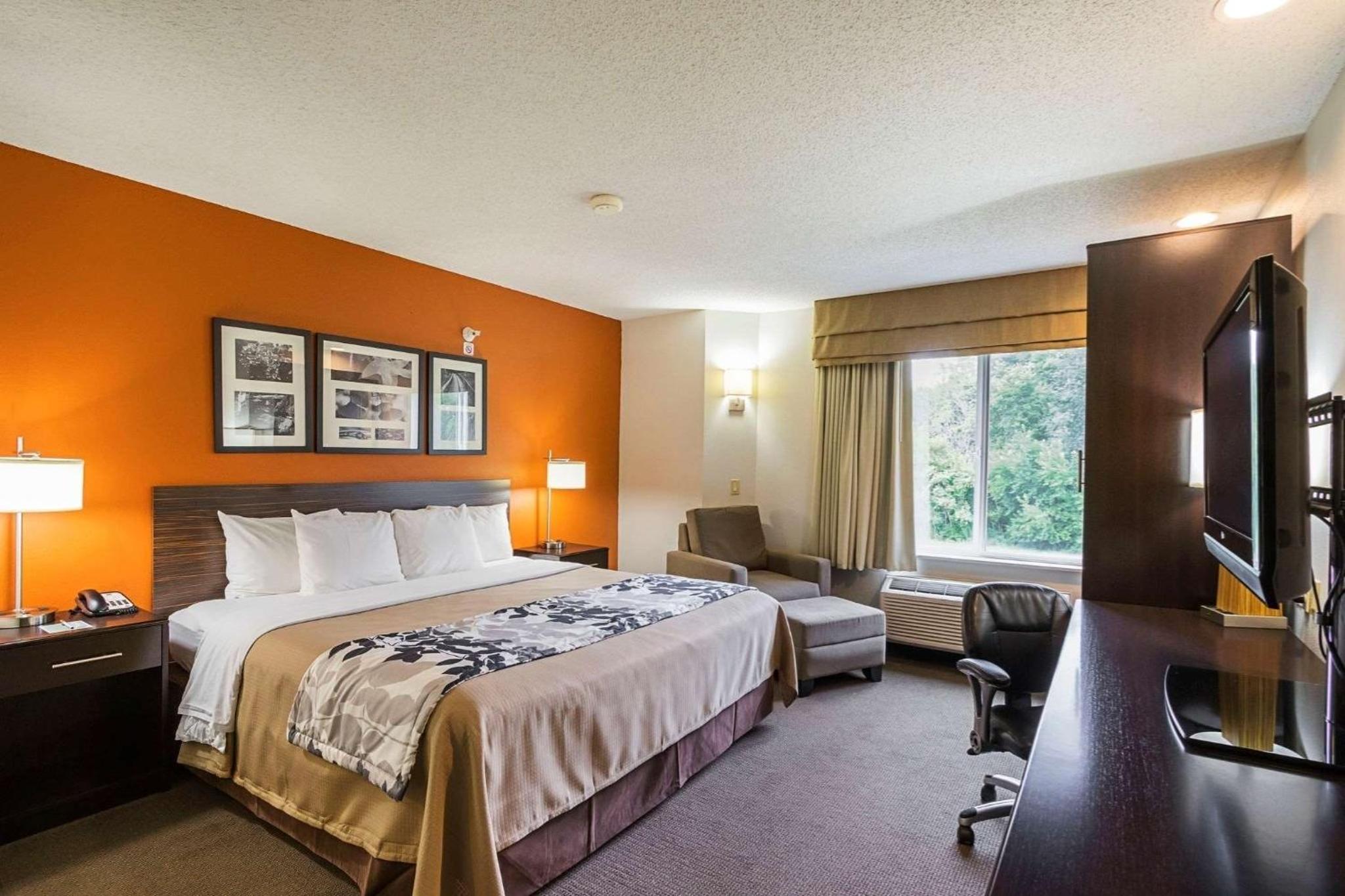 King Room - Non-Smoking - Photo 5