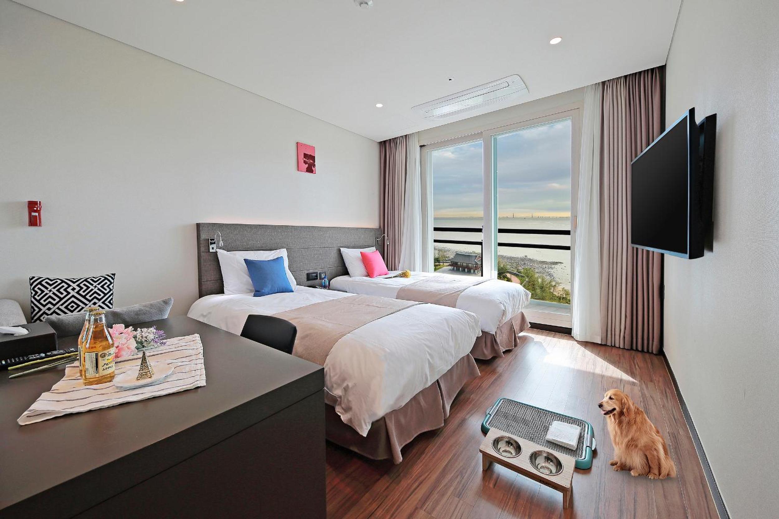 Premier Twin Pet Room - Park Ocean View with Terrace