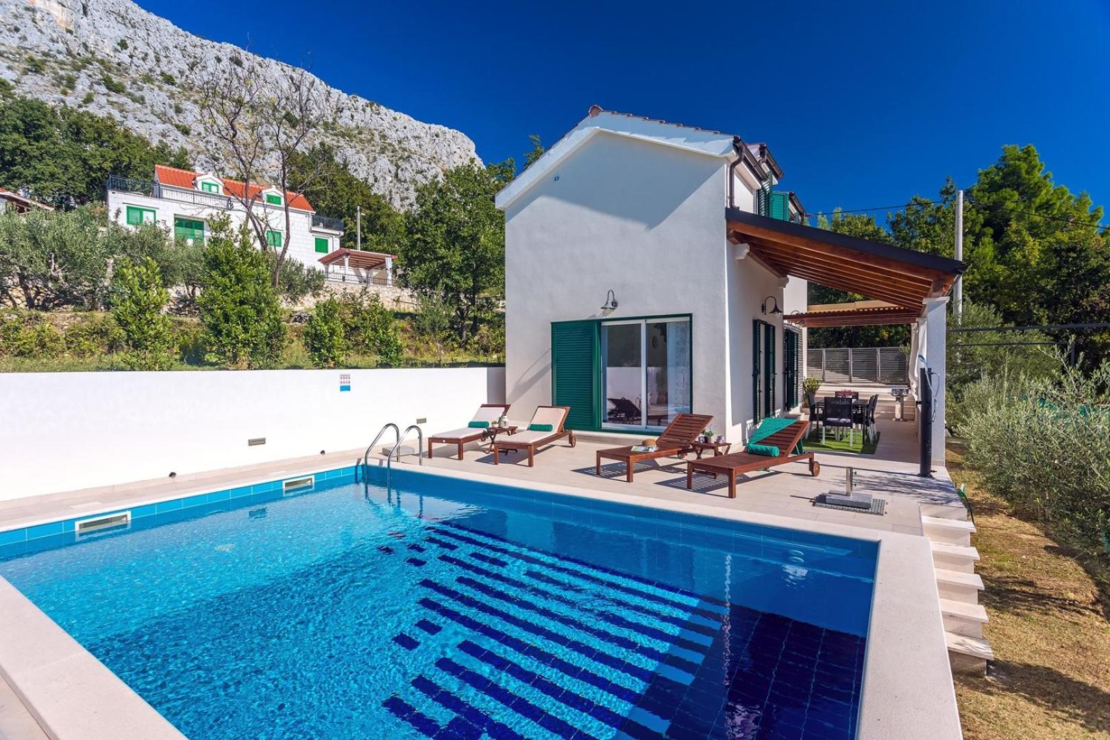 Villa with Sea View photo 2