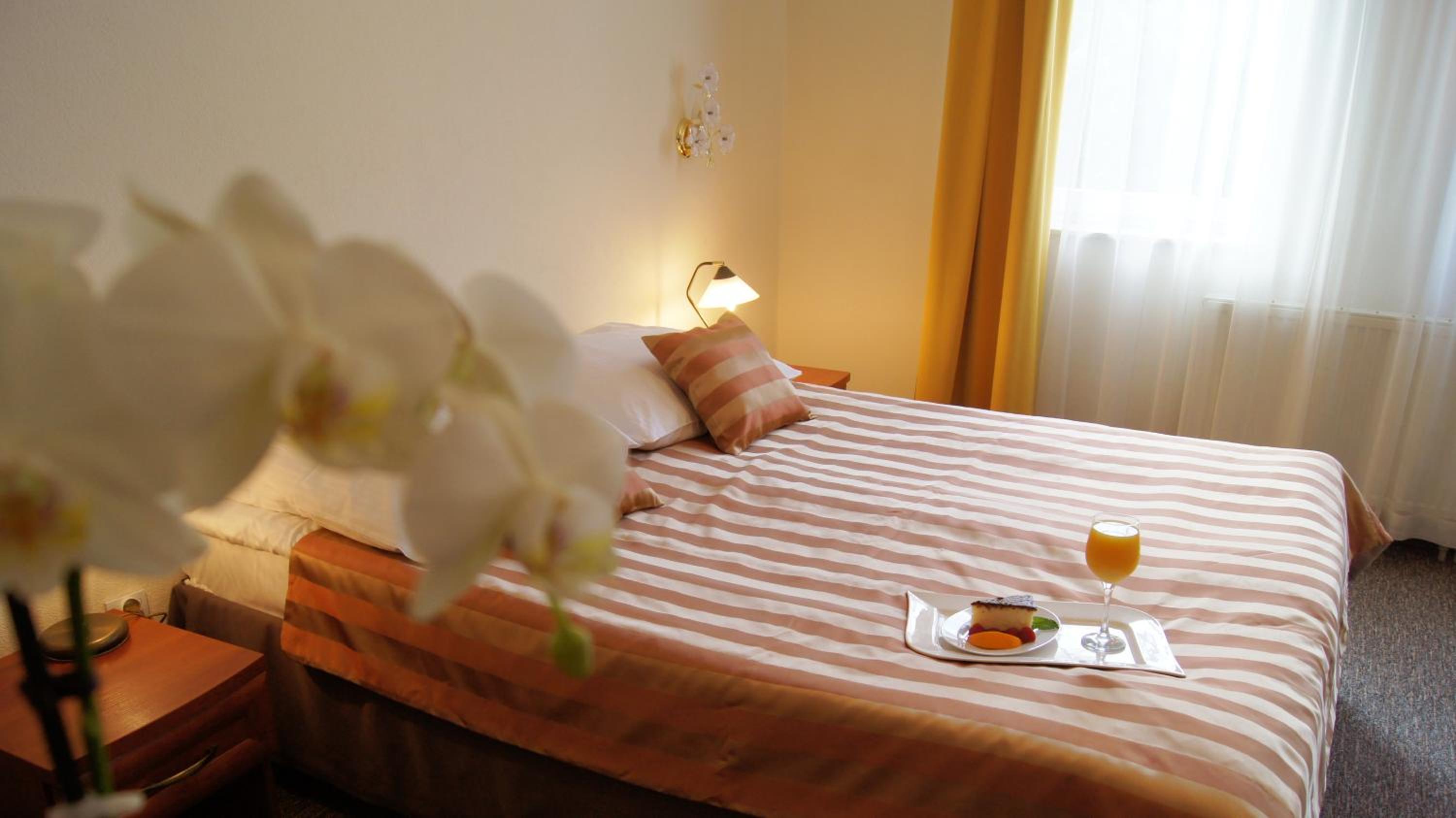 Large Single Room photo 3