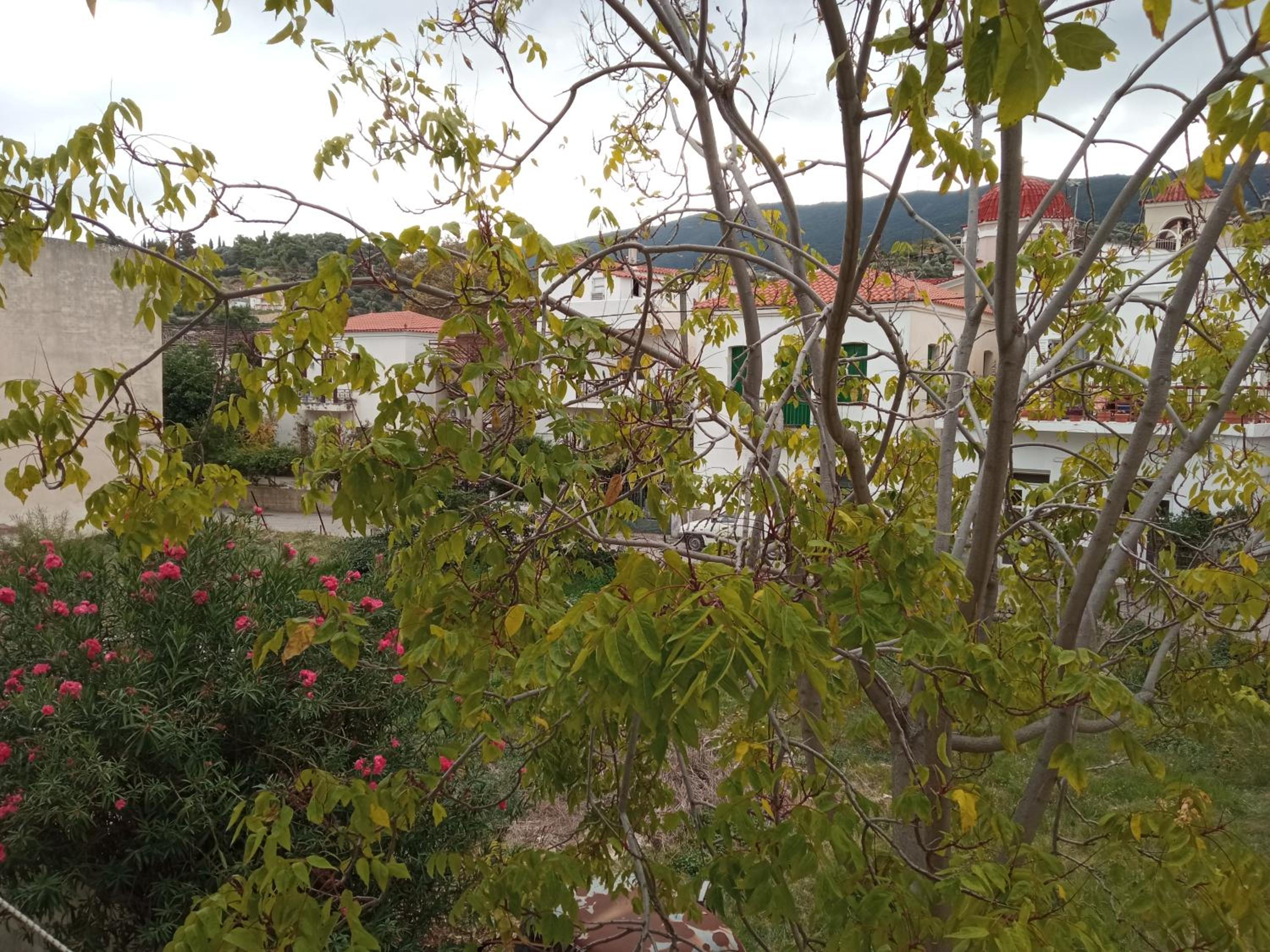 Double Room with Balcony photo 2