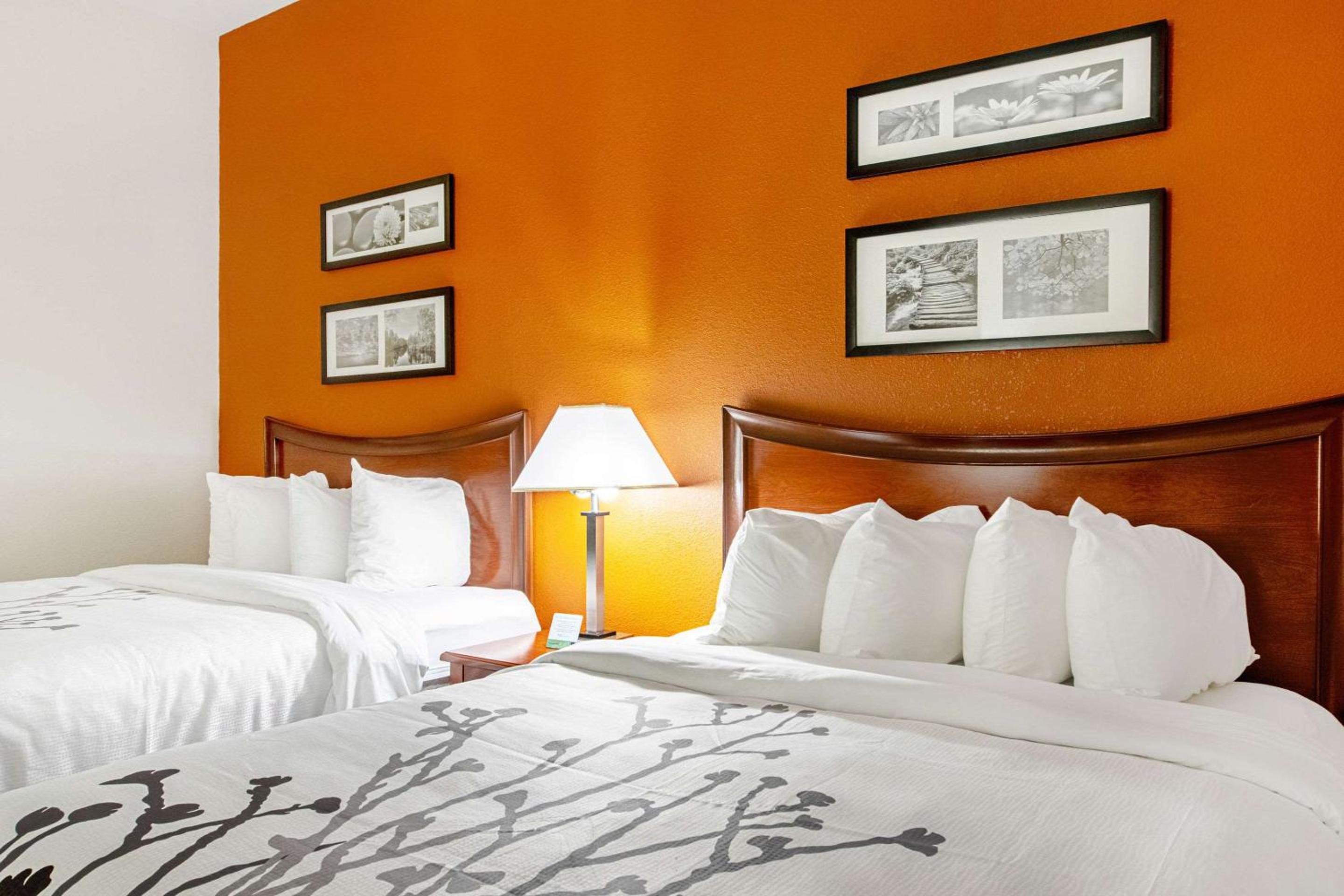 Suite with Two Queen Beds - Accessible/Non-Smoking - Photo 3