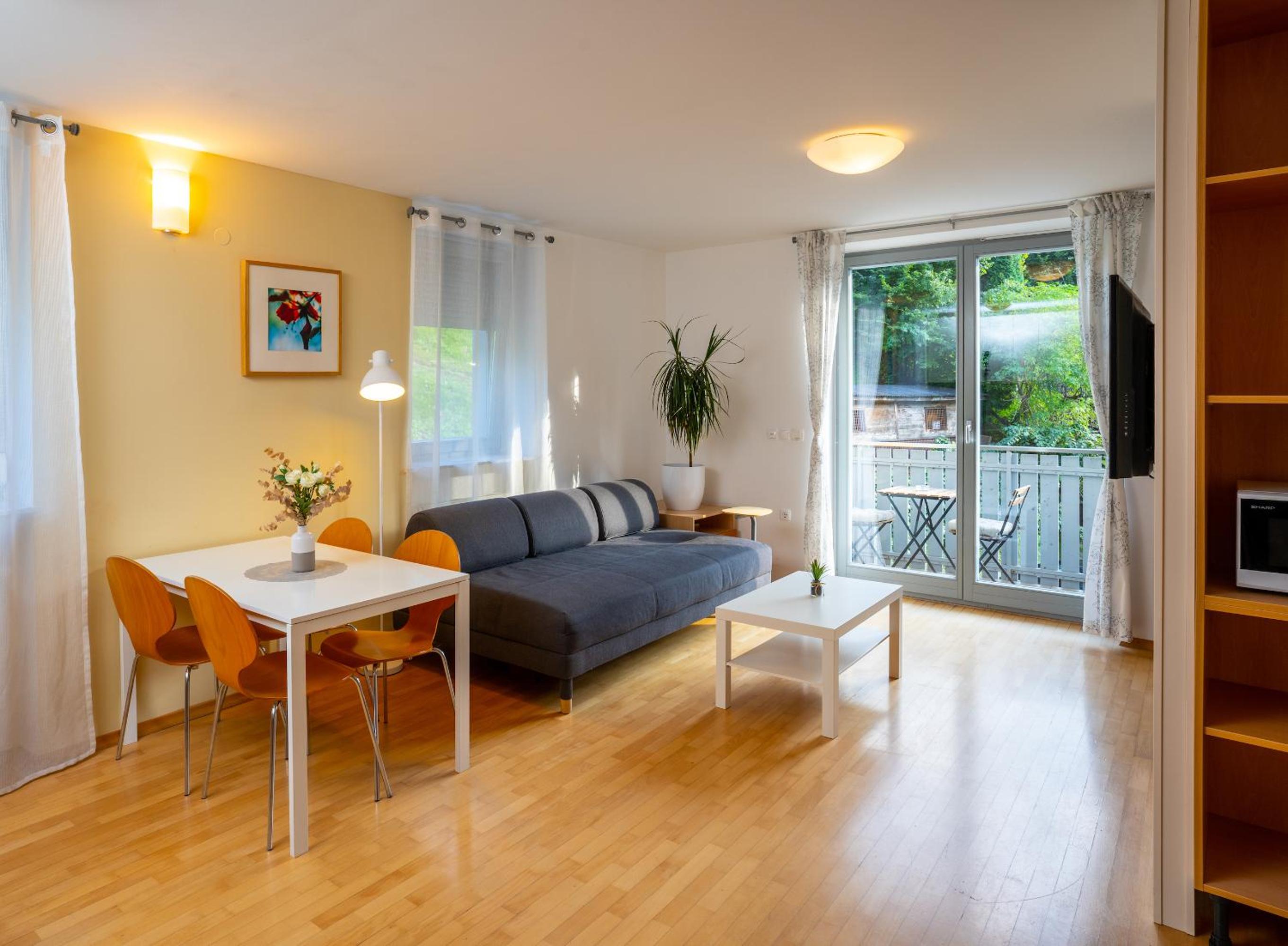 Superior One-Bedroom Apartment with Balcony