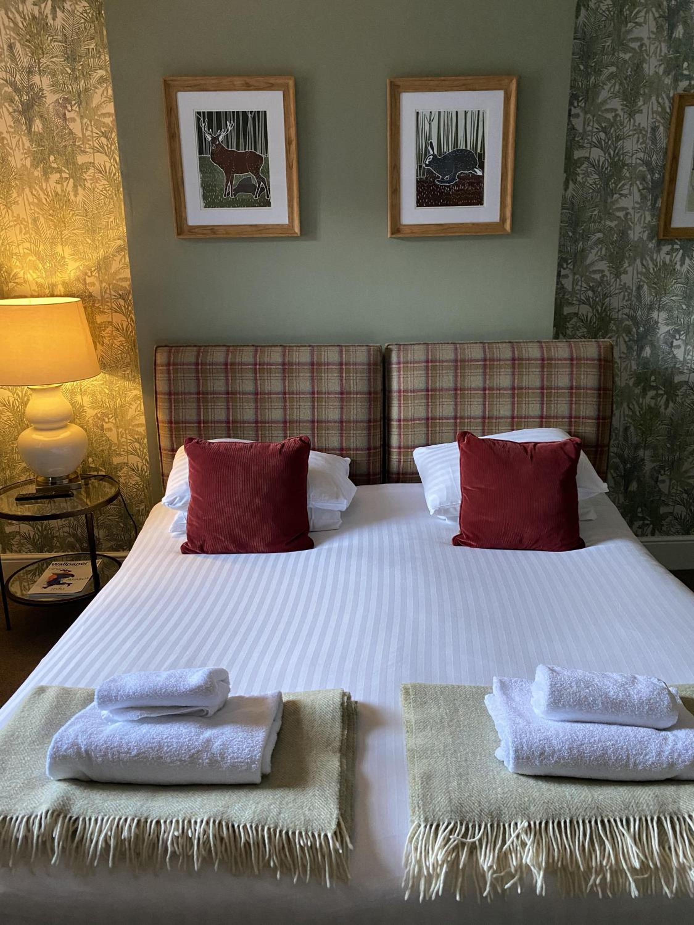 King Room photo 1