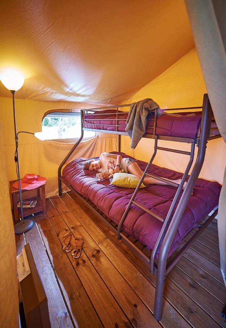 Ecolodge Victoria photo 3
