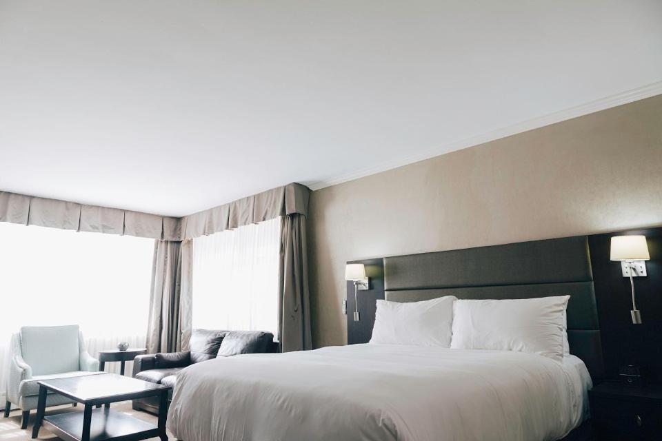 Deluxe Queen Suite