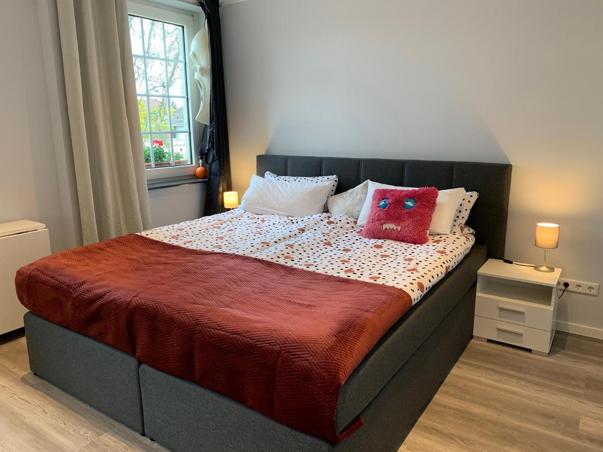 Deluxe Double or Twin Room photo 2