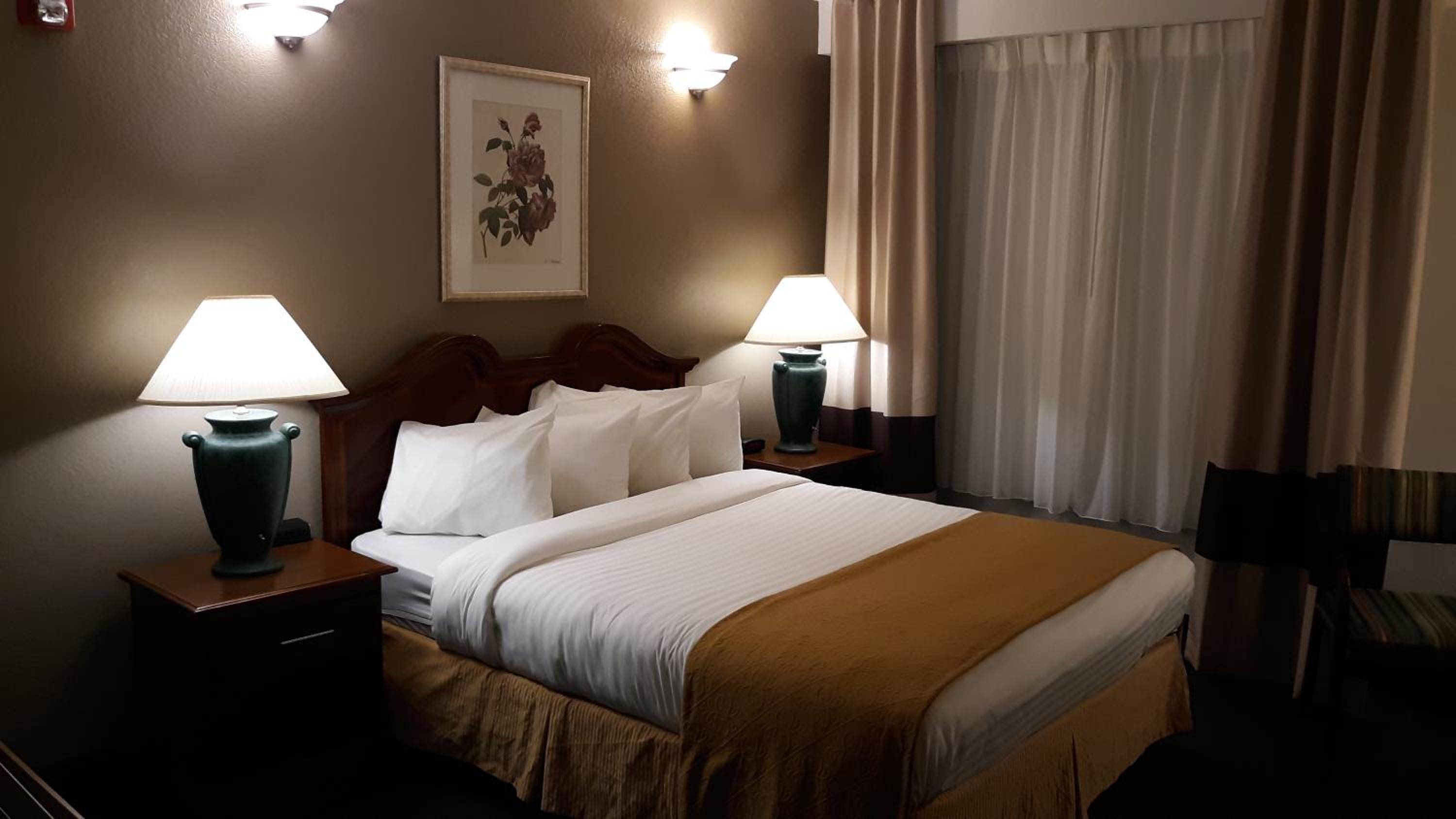 Queen Room - Disability Access photo 3