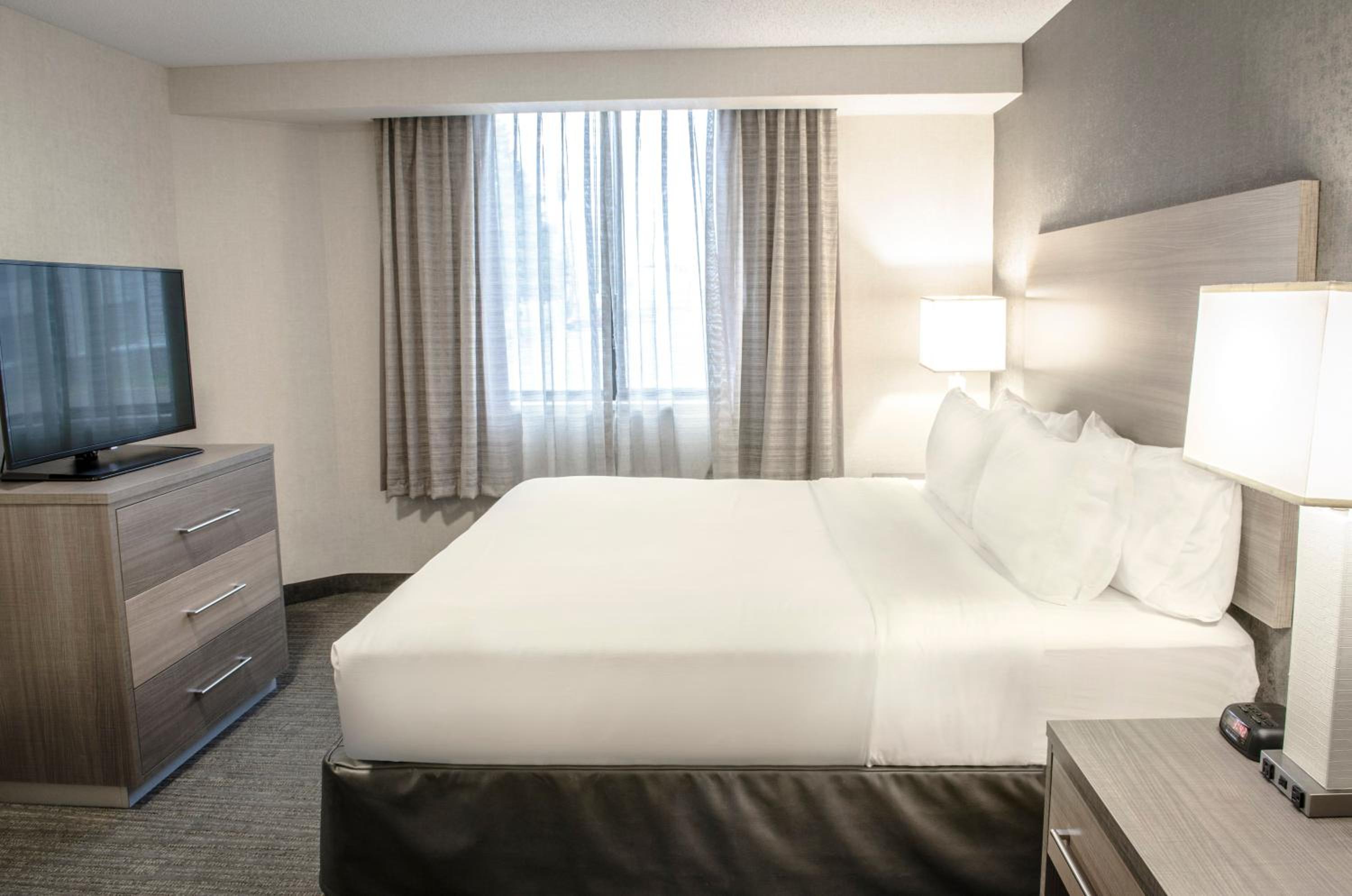 One-Bedroom King Suite - Photo 3