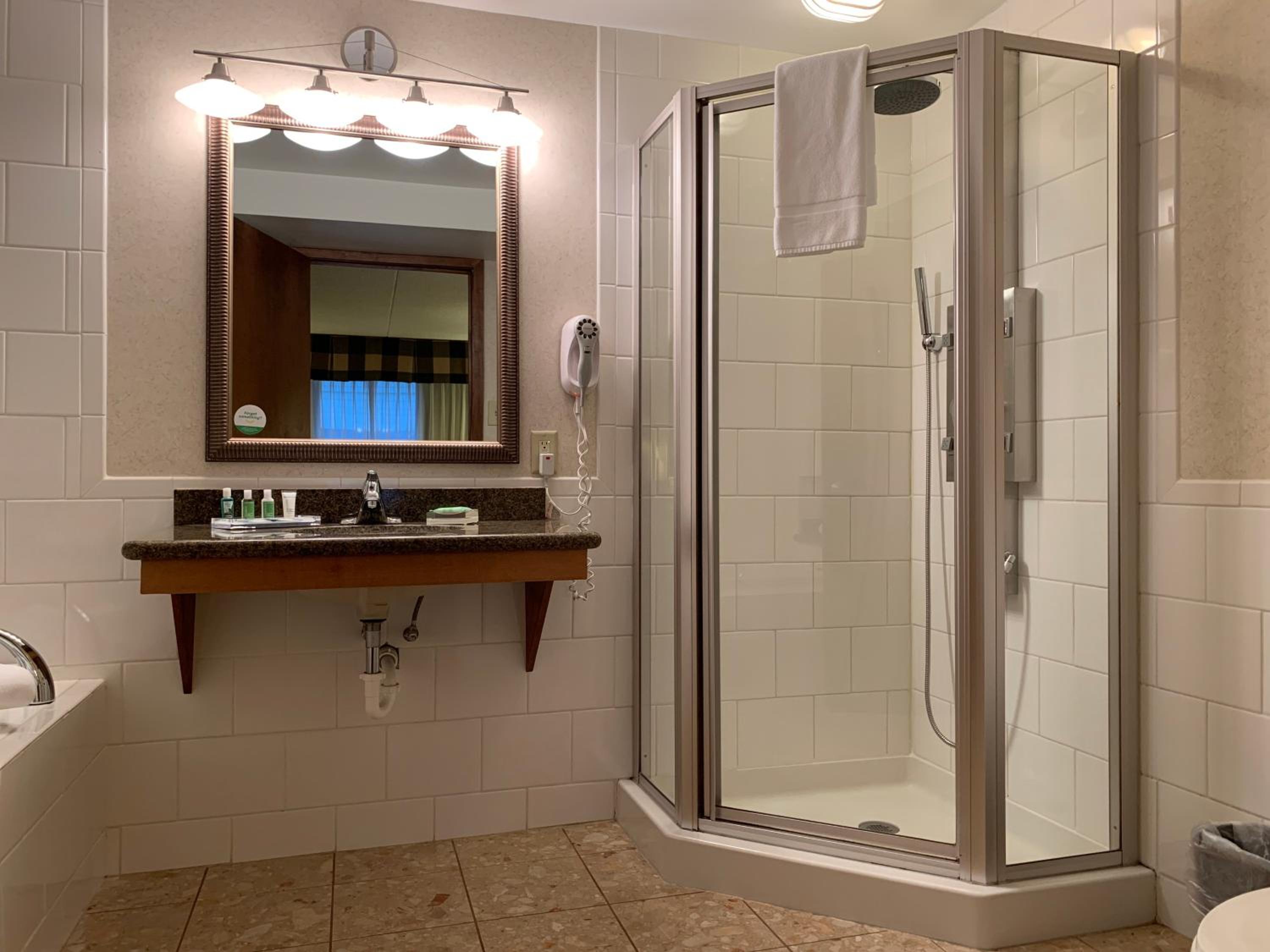 King Suite photo 3