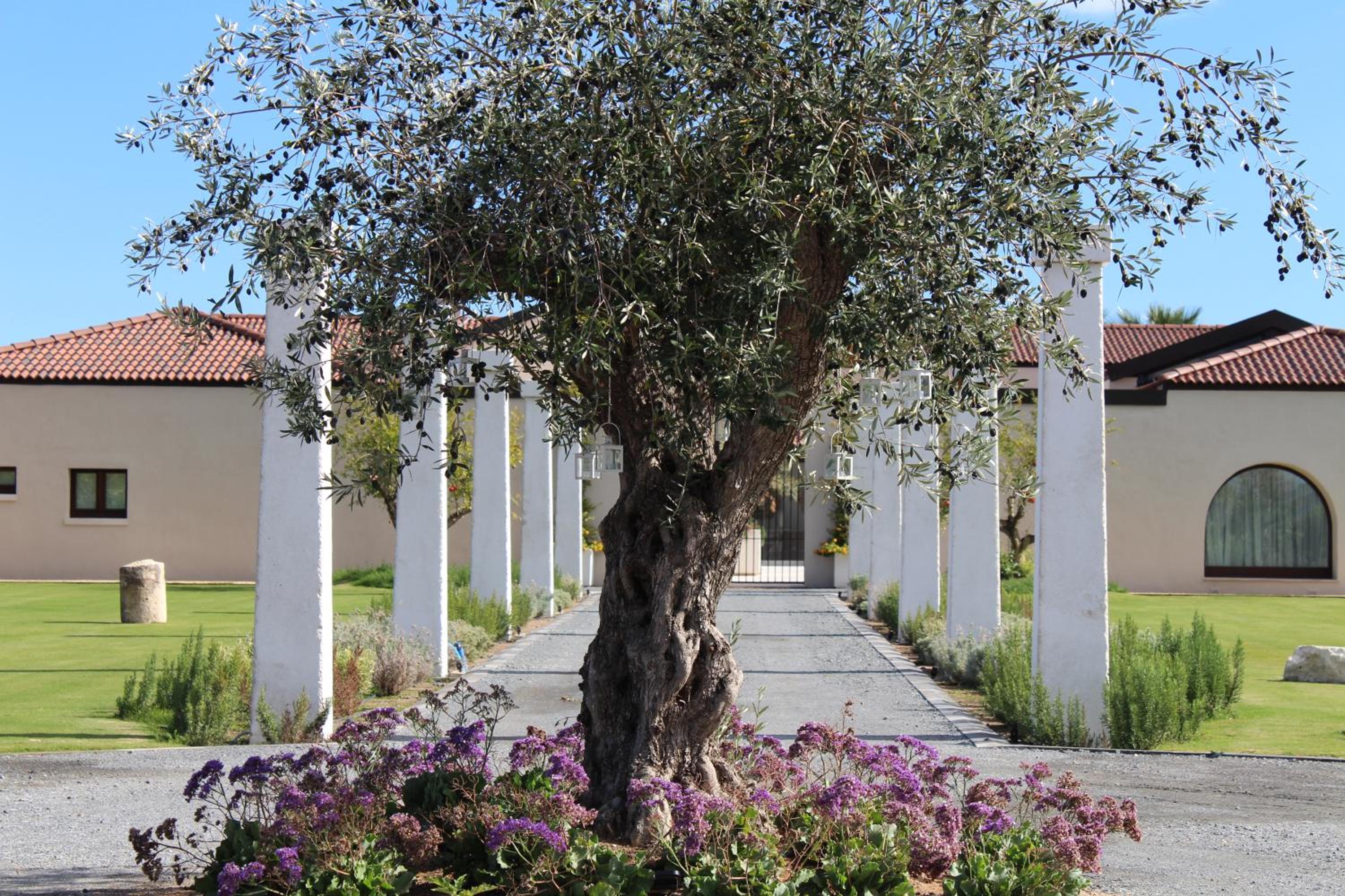 Villa photo 3