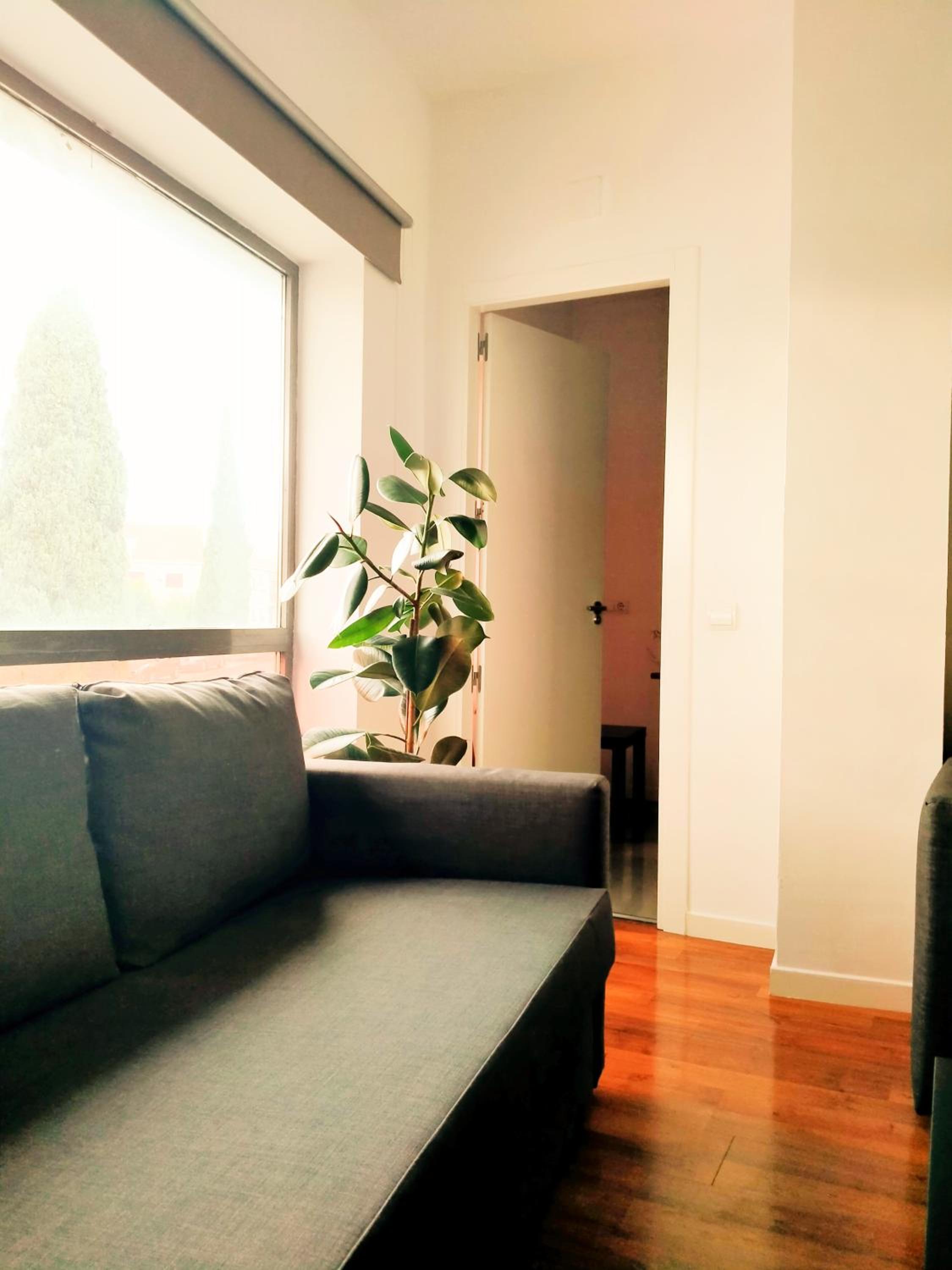 Two-Bedroom Apartment photo 2