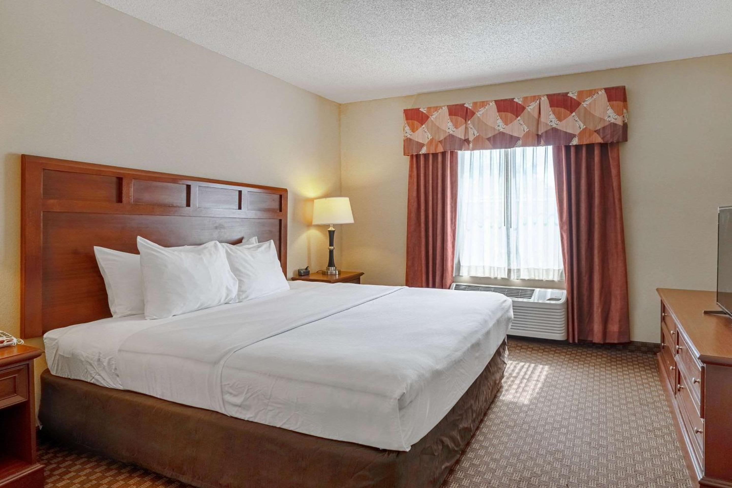King Suite - Non-Smoking - Photo 4