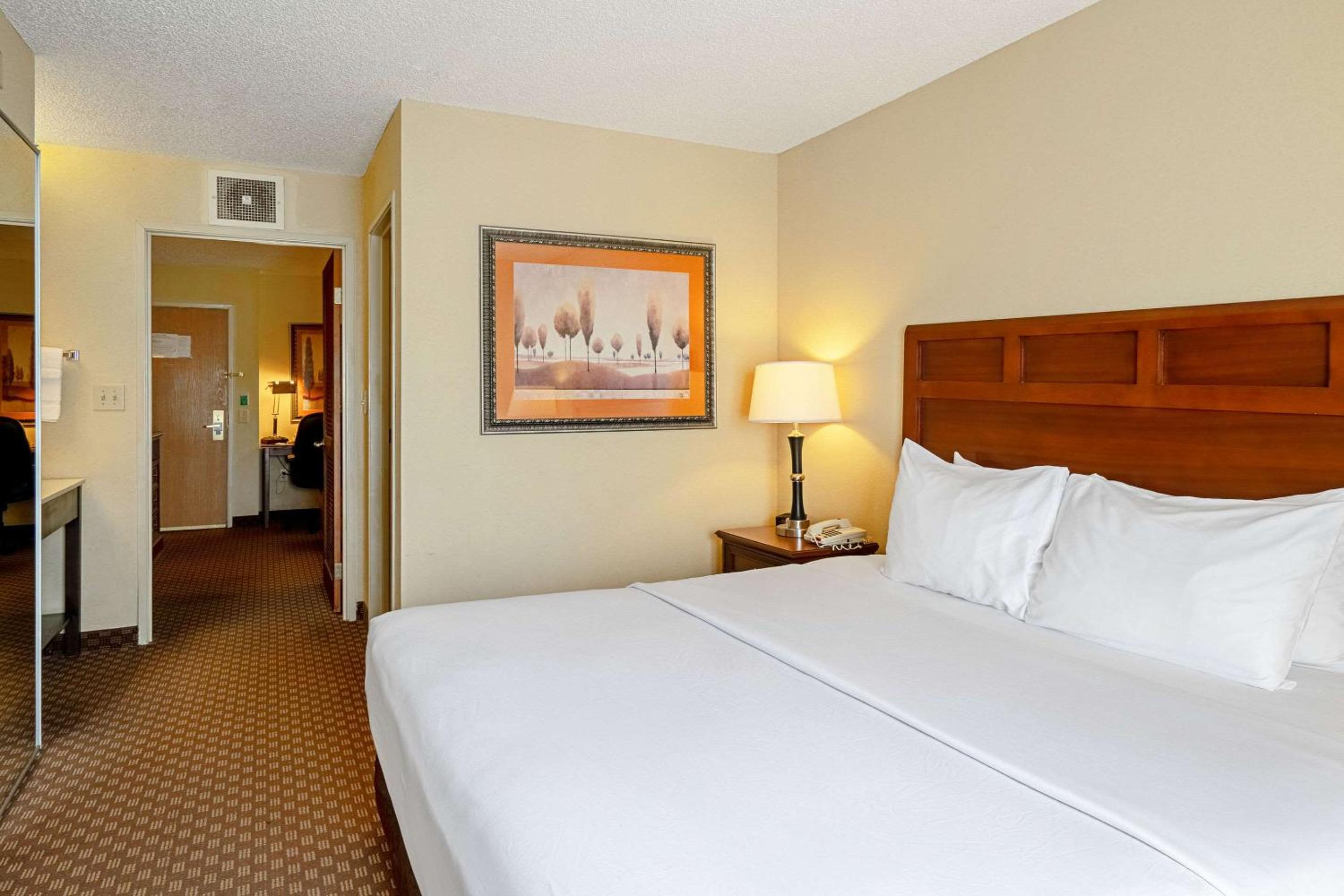 King Suite - Non-Smoking - Photo 6