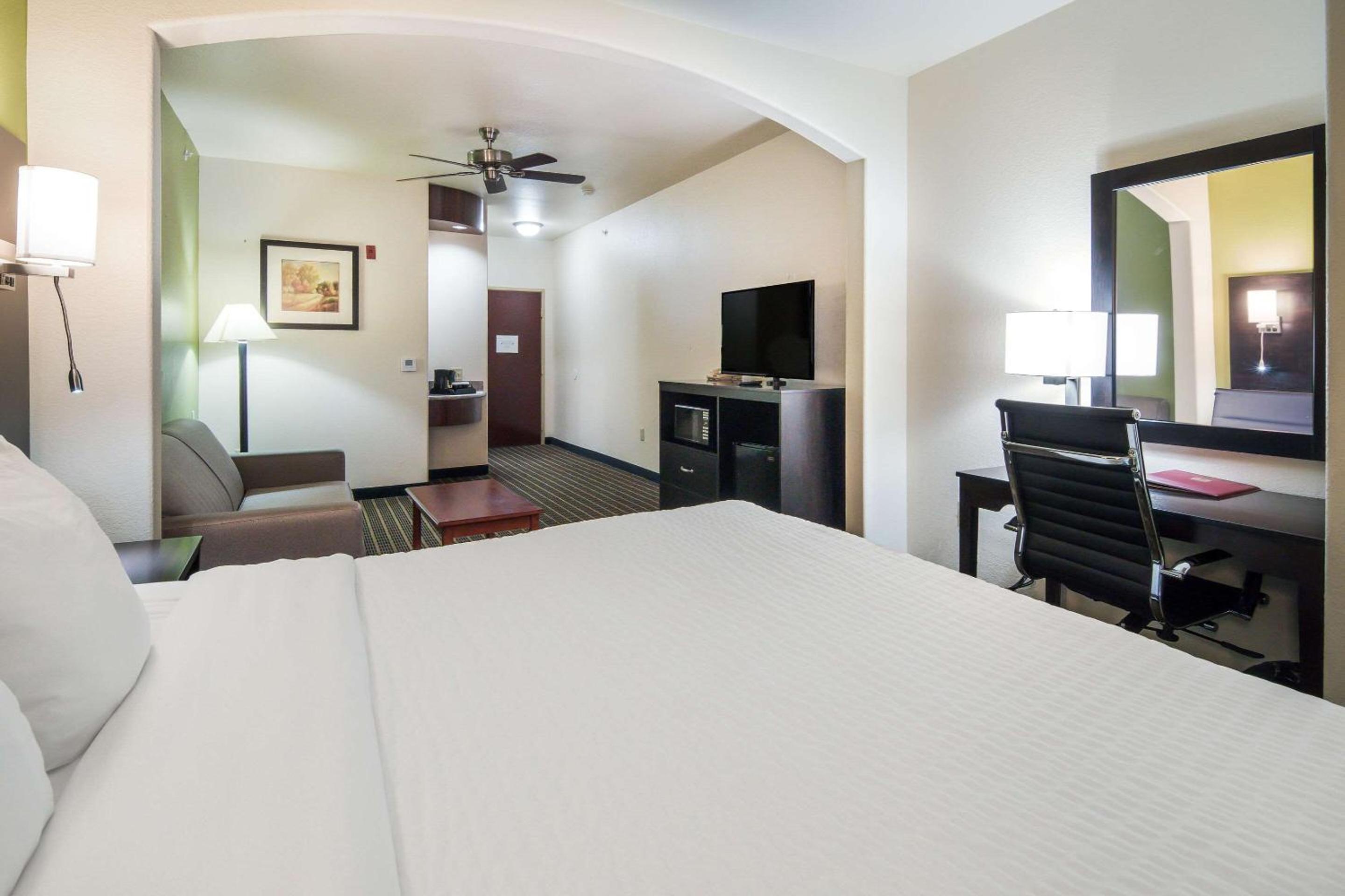 King Suite - Non-Smoking - Photo 4