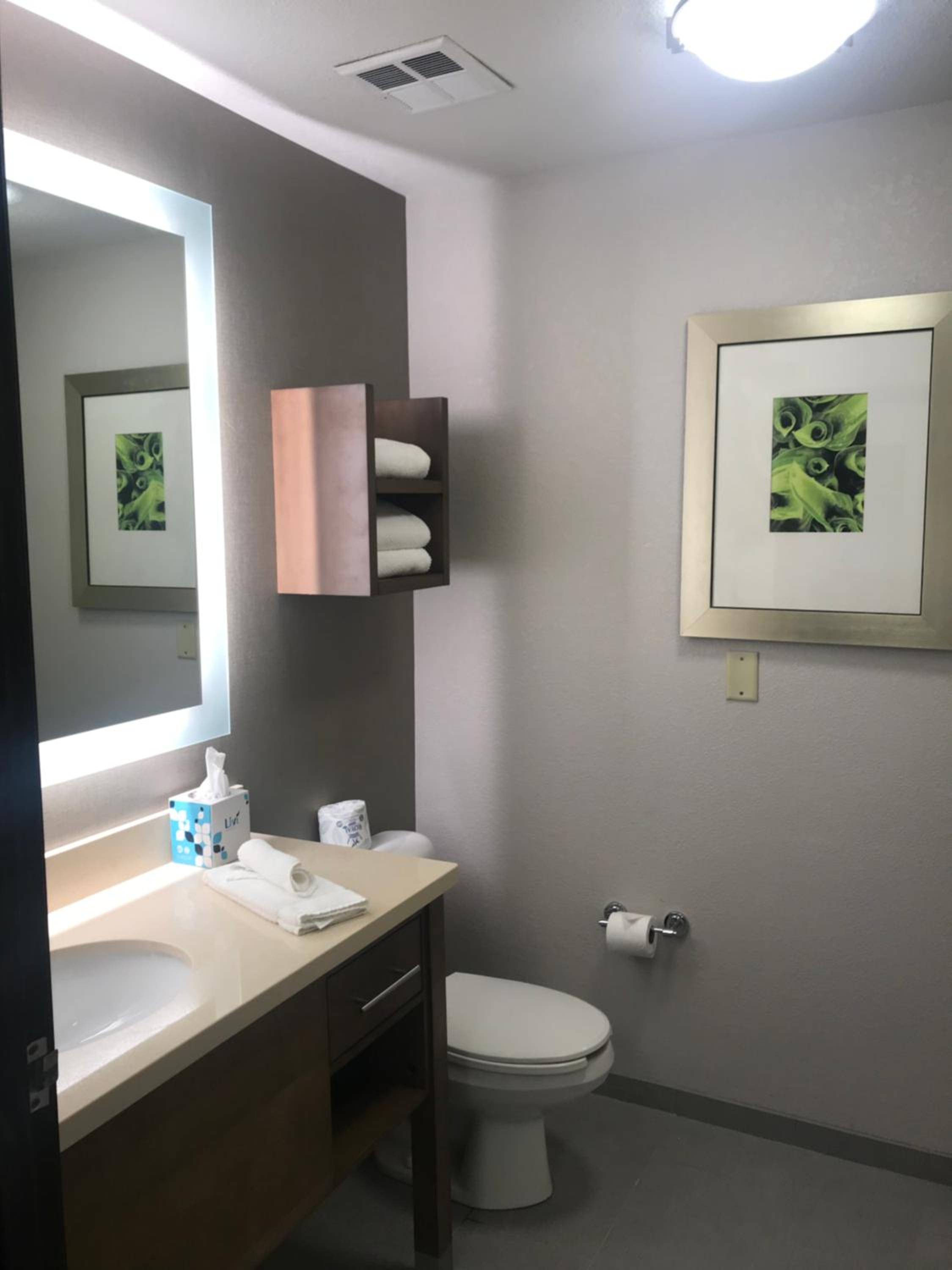 Studio Suite - Photo 2