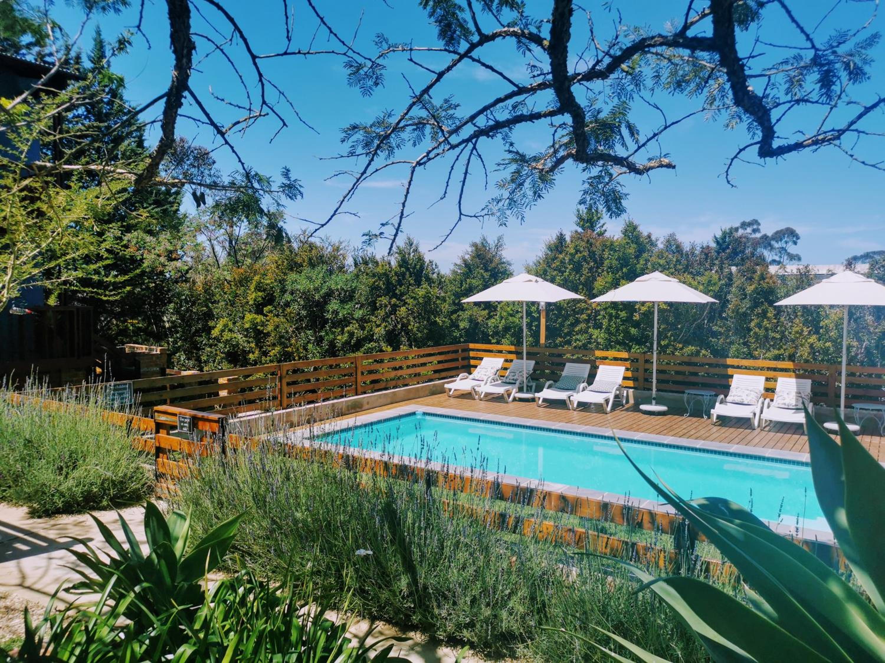Deluxe Family Suite photo 3