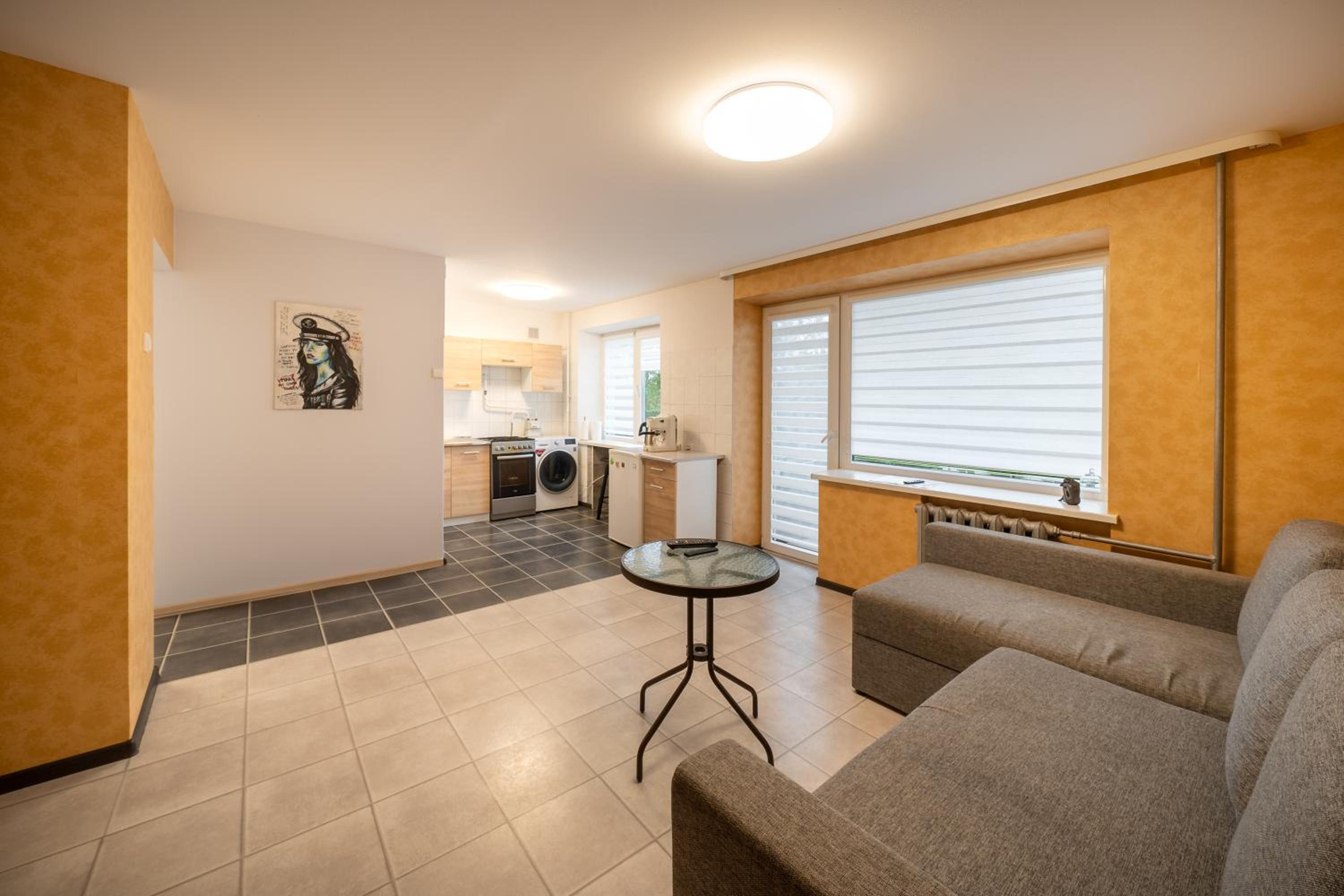 One-Bedroom Apartment - Photo 4