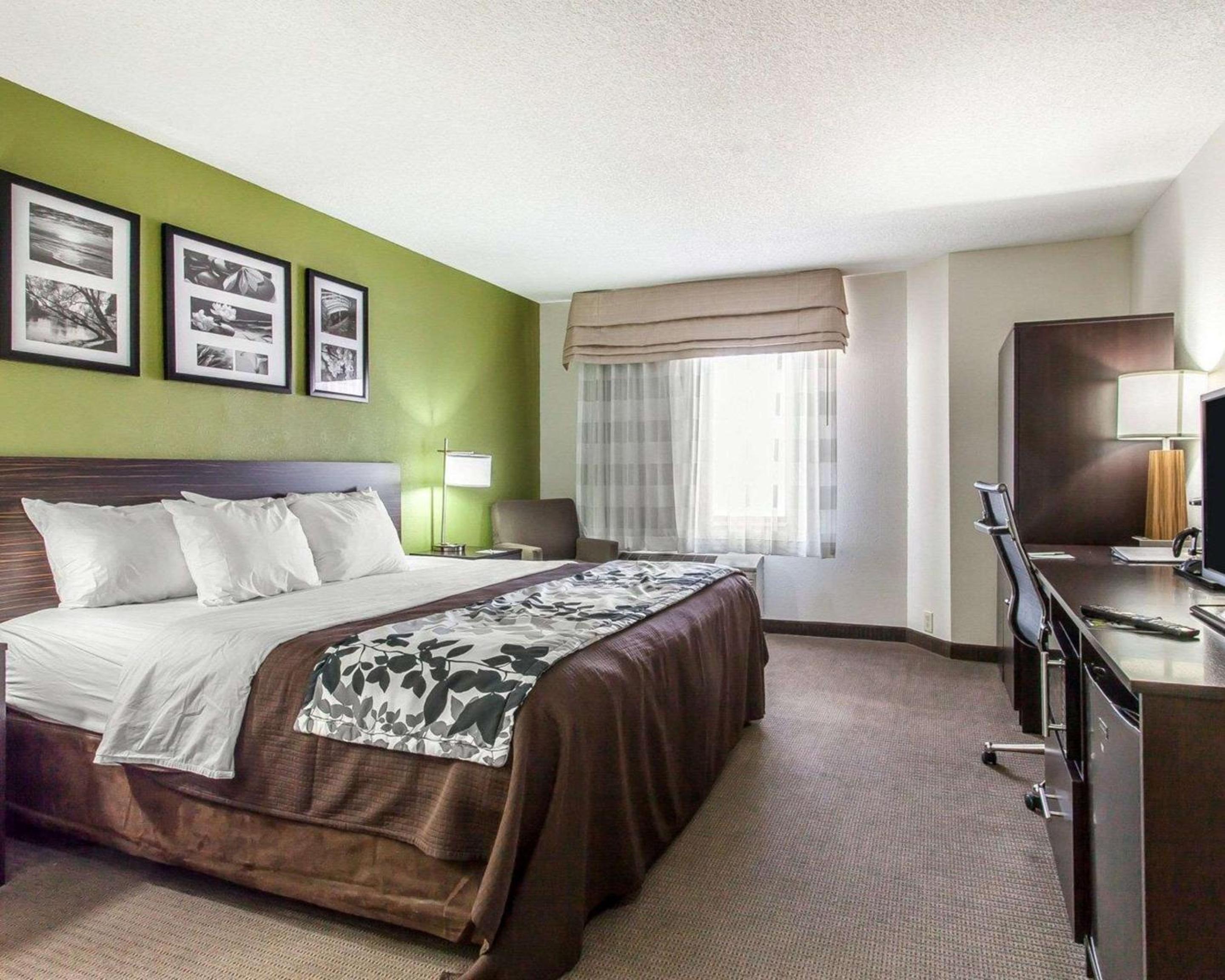 King Room - Non-Smoking - Photo 1