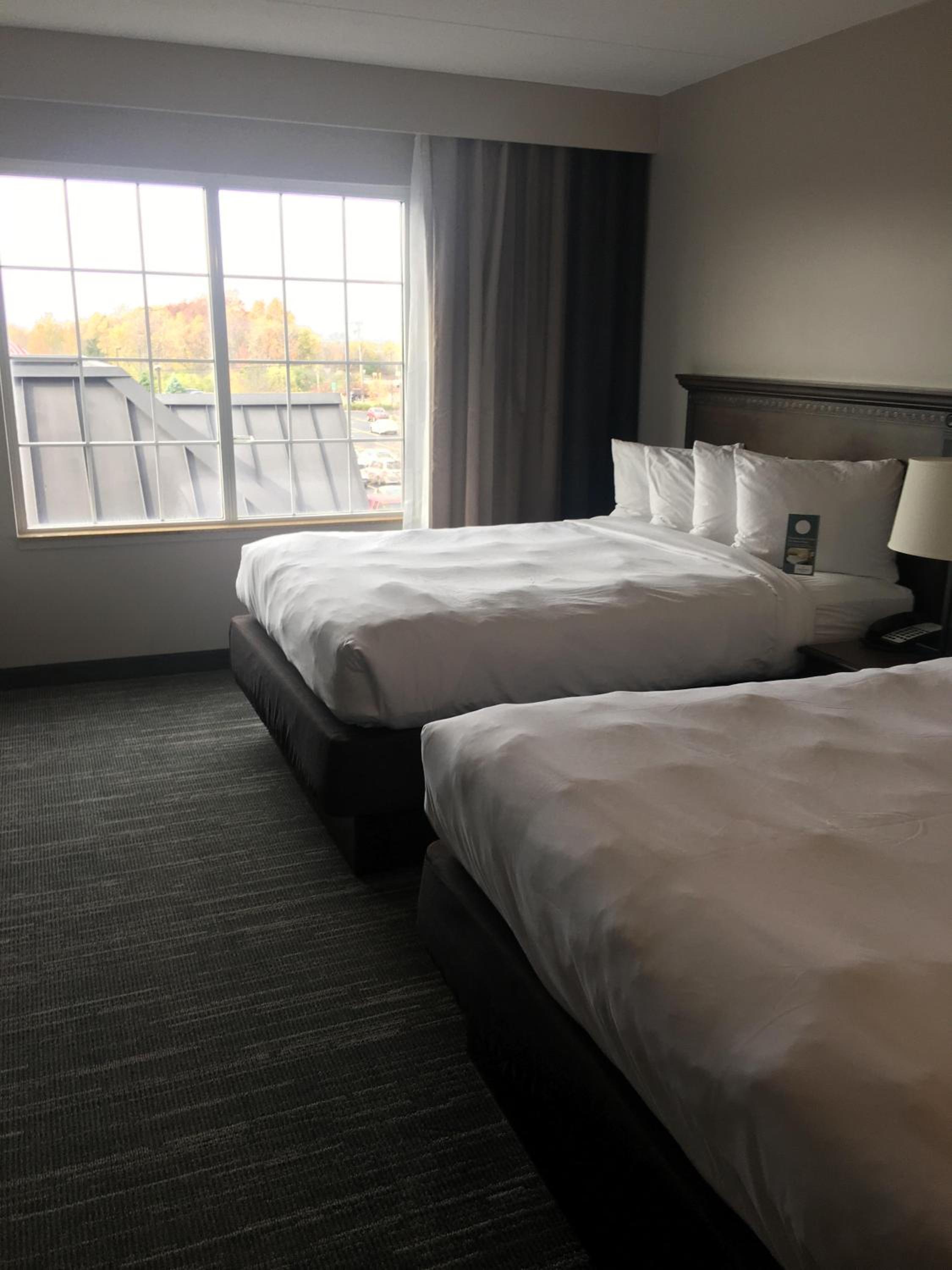 One-Bedroom Suite with Two Queen Beds and Sofa Bed - Non-Smoking - Photo 5