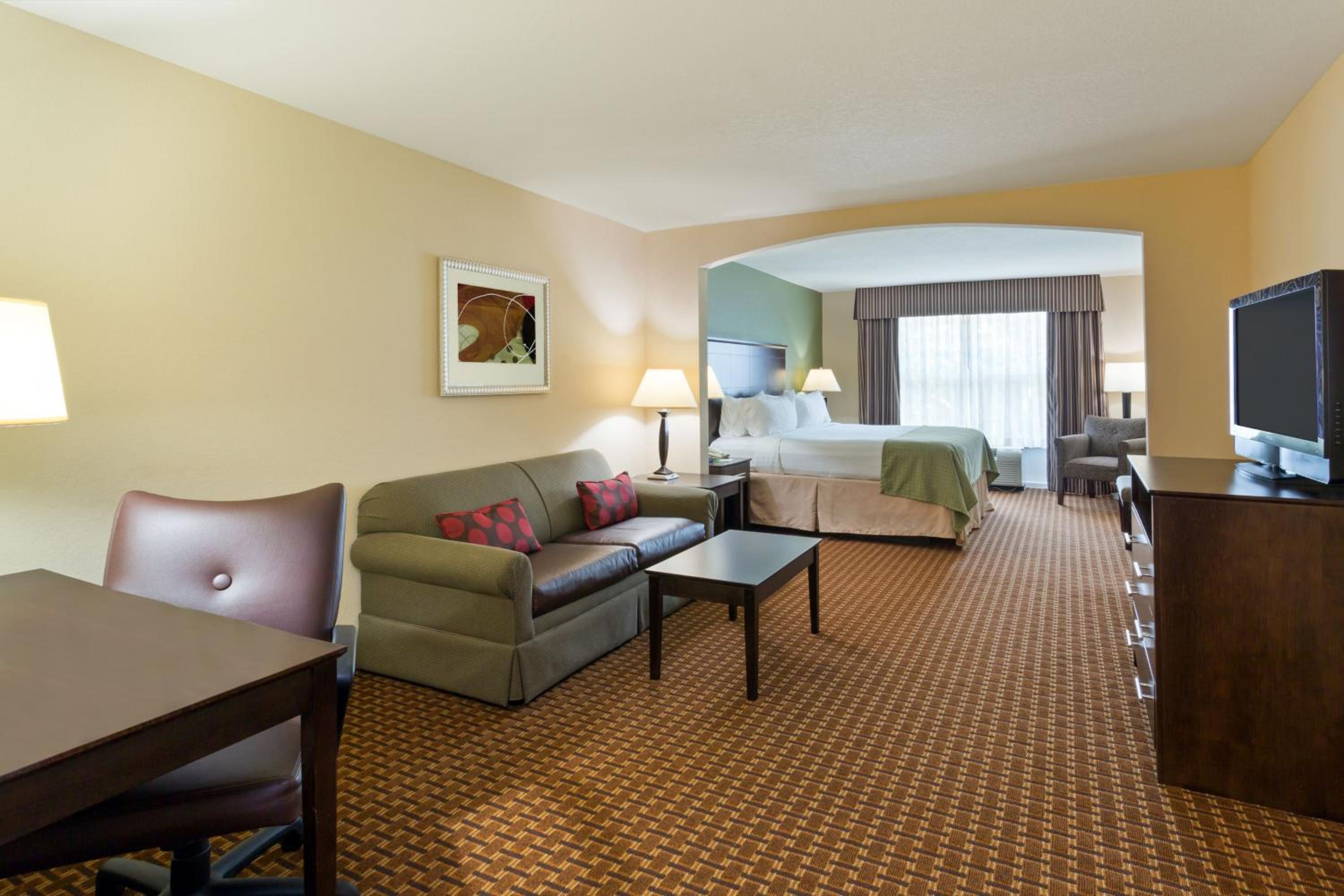 One-Bedroom Suite - Photo 3