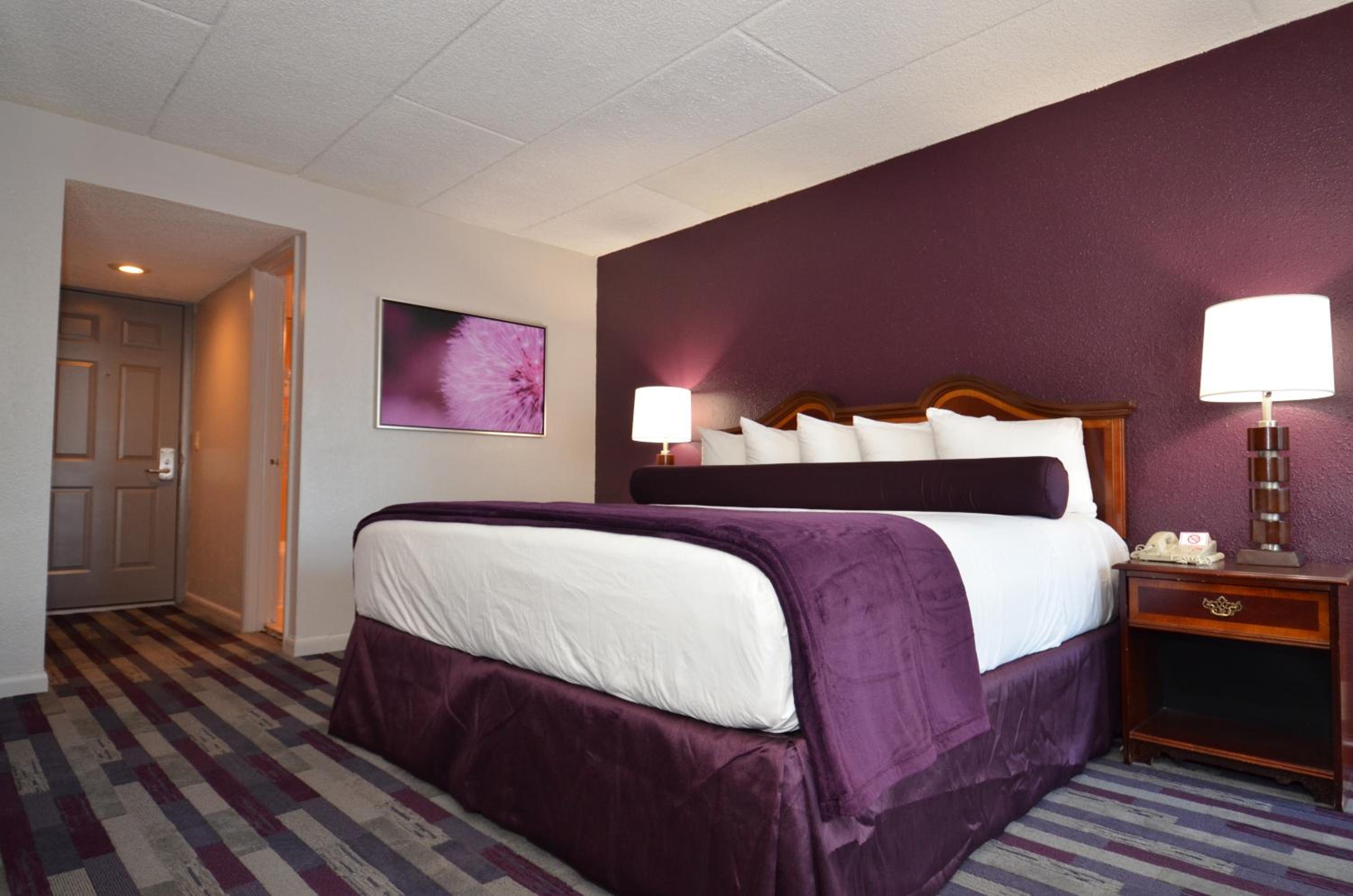 King Room - Photo 1