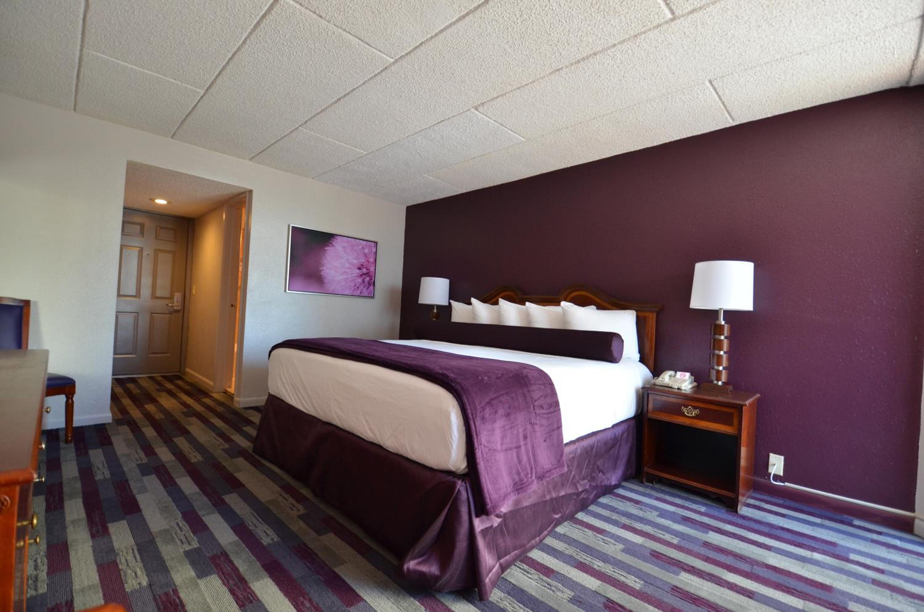 King Room - Photo 3