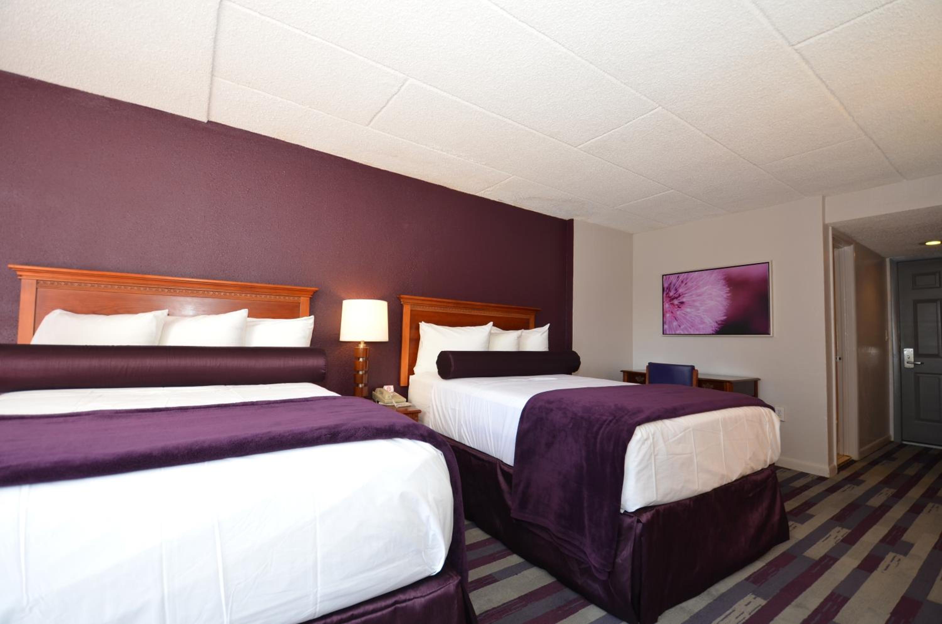 Double Room with Two Double Beds (4 Adults) - Photo 2