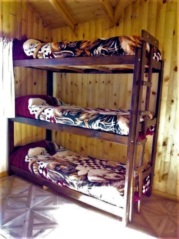 Bed in 4-Bed Mixed Dormitory Room photo 1