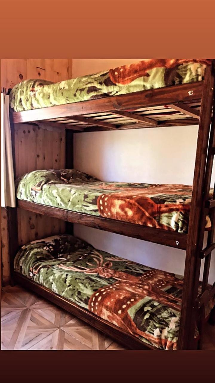 Bed in 4-Bed Mixed Dormitory Room photo 1