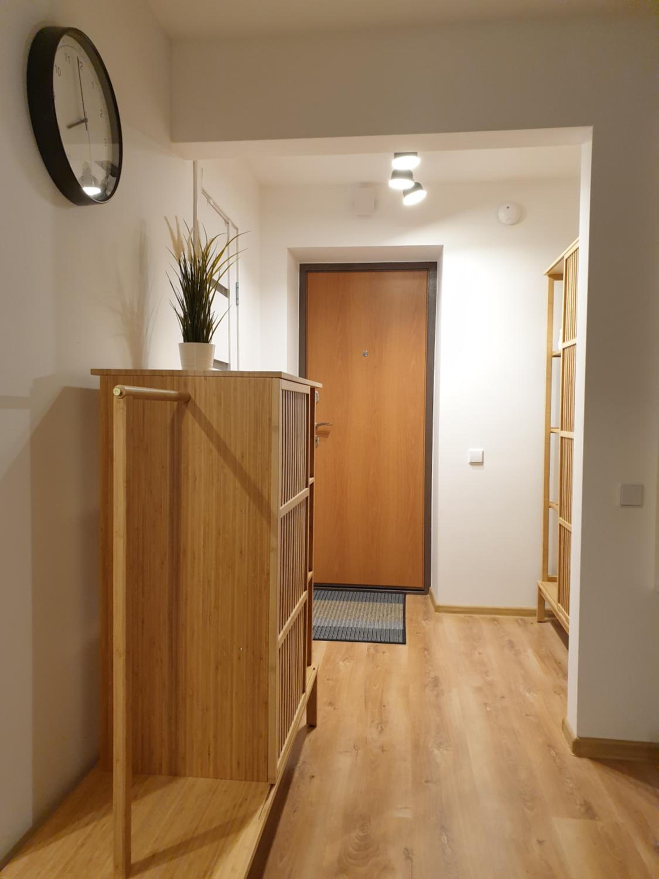One-Bedroom Apartment photo 3