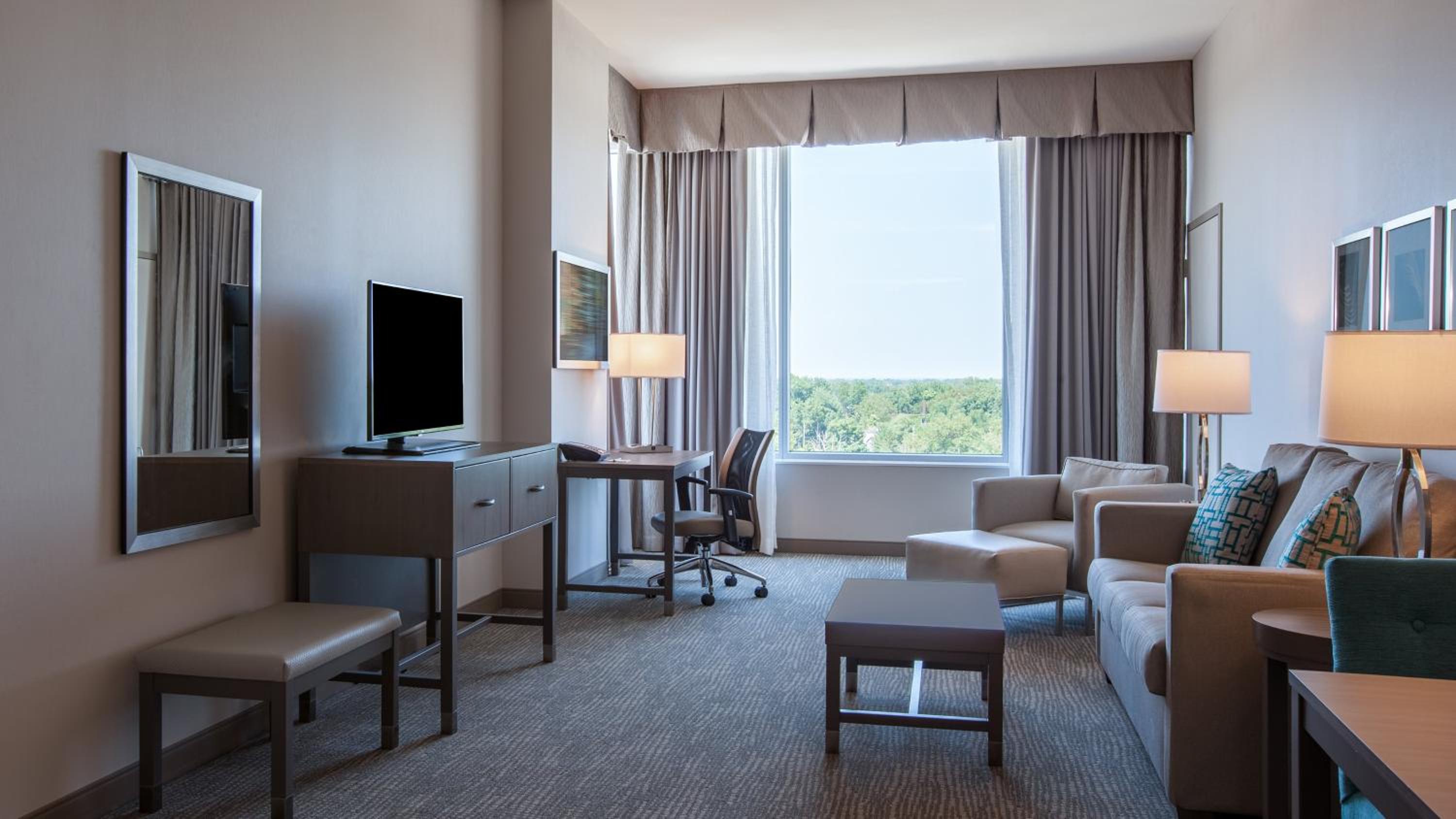 King Studio Suite photo 1