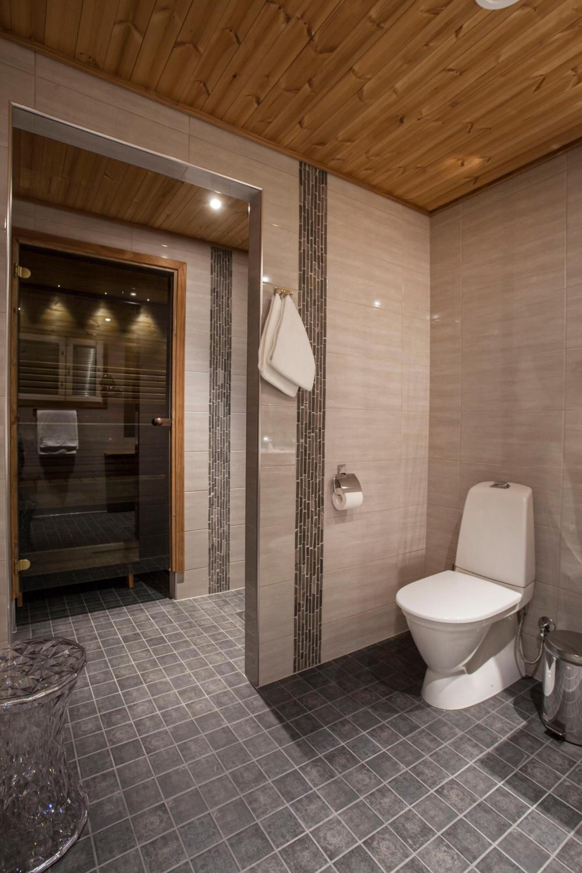 Superior Double or Twin Room - "Laponia" photo 2