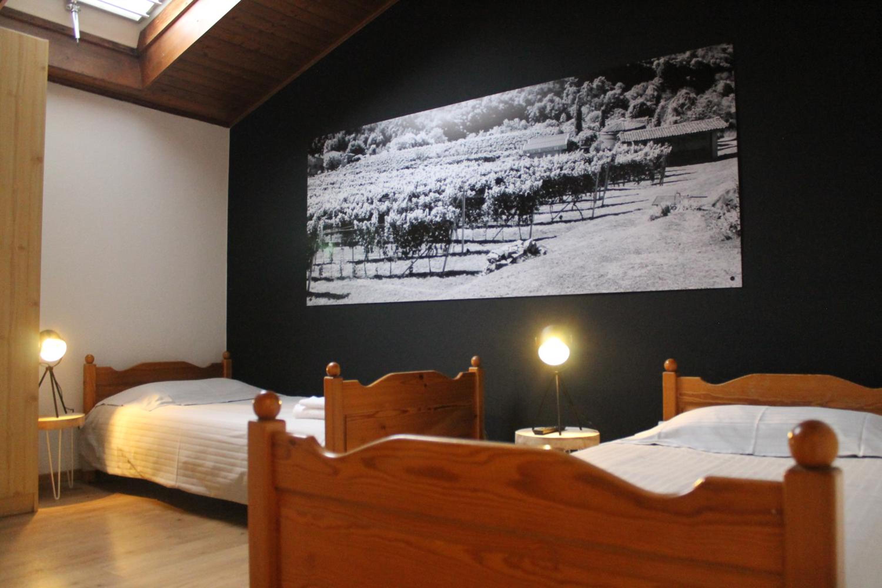 Twin Room photo 1