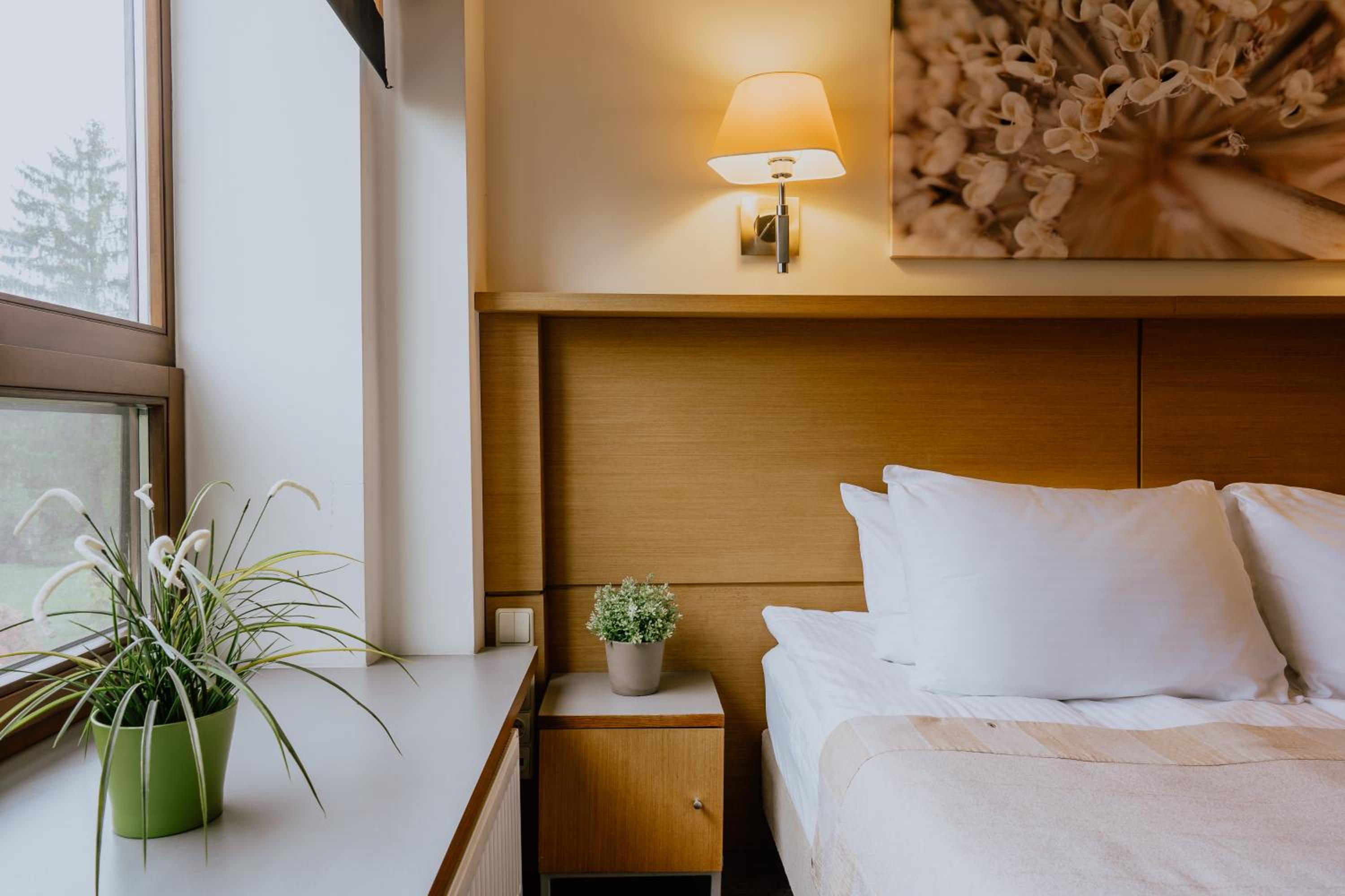 Double or Twin Room photo 2