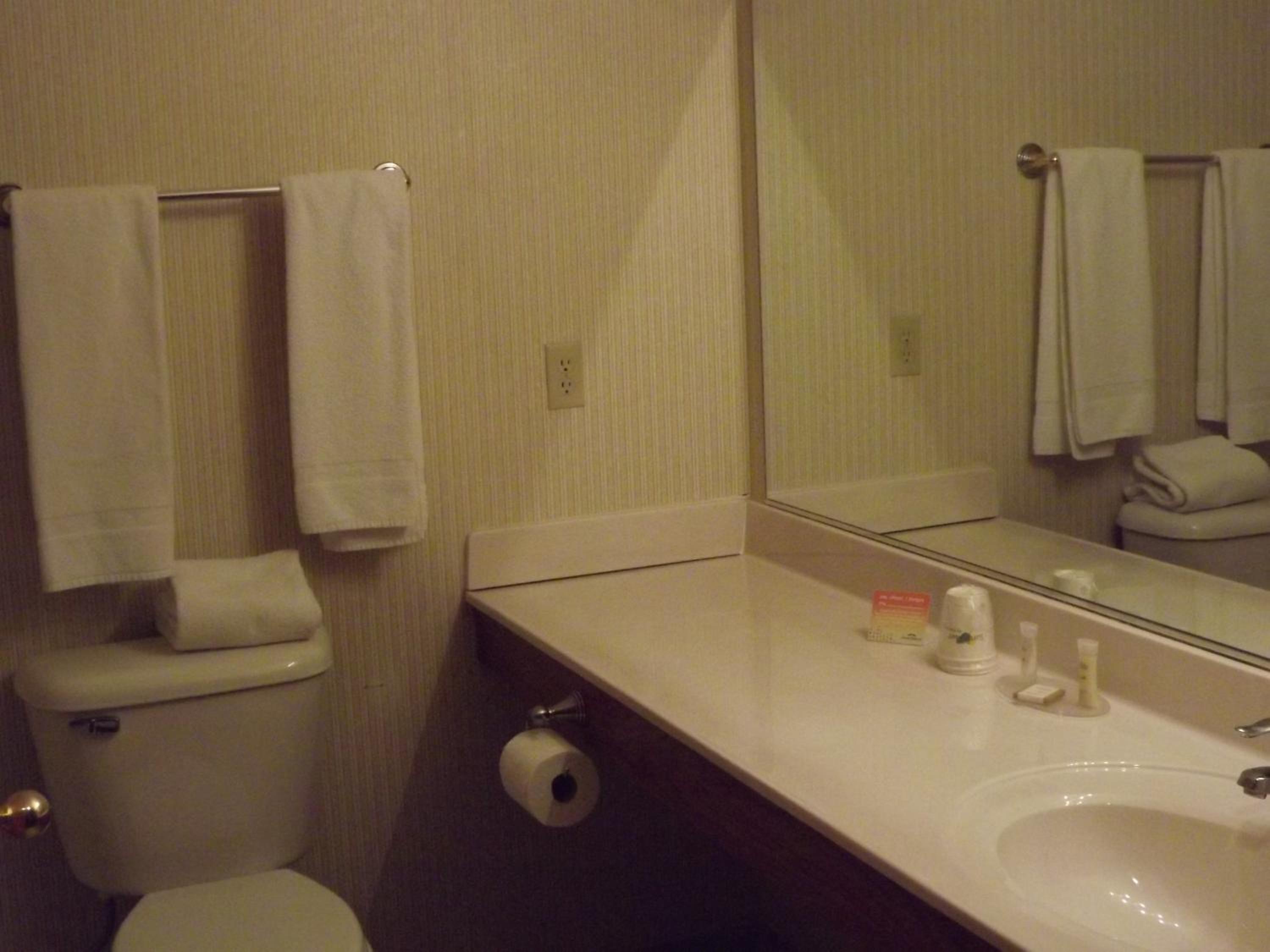 3 Queen Beds, Studio Suite, Non-Smoking - Photo 3