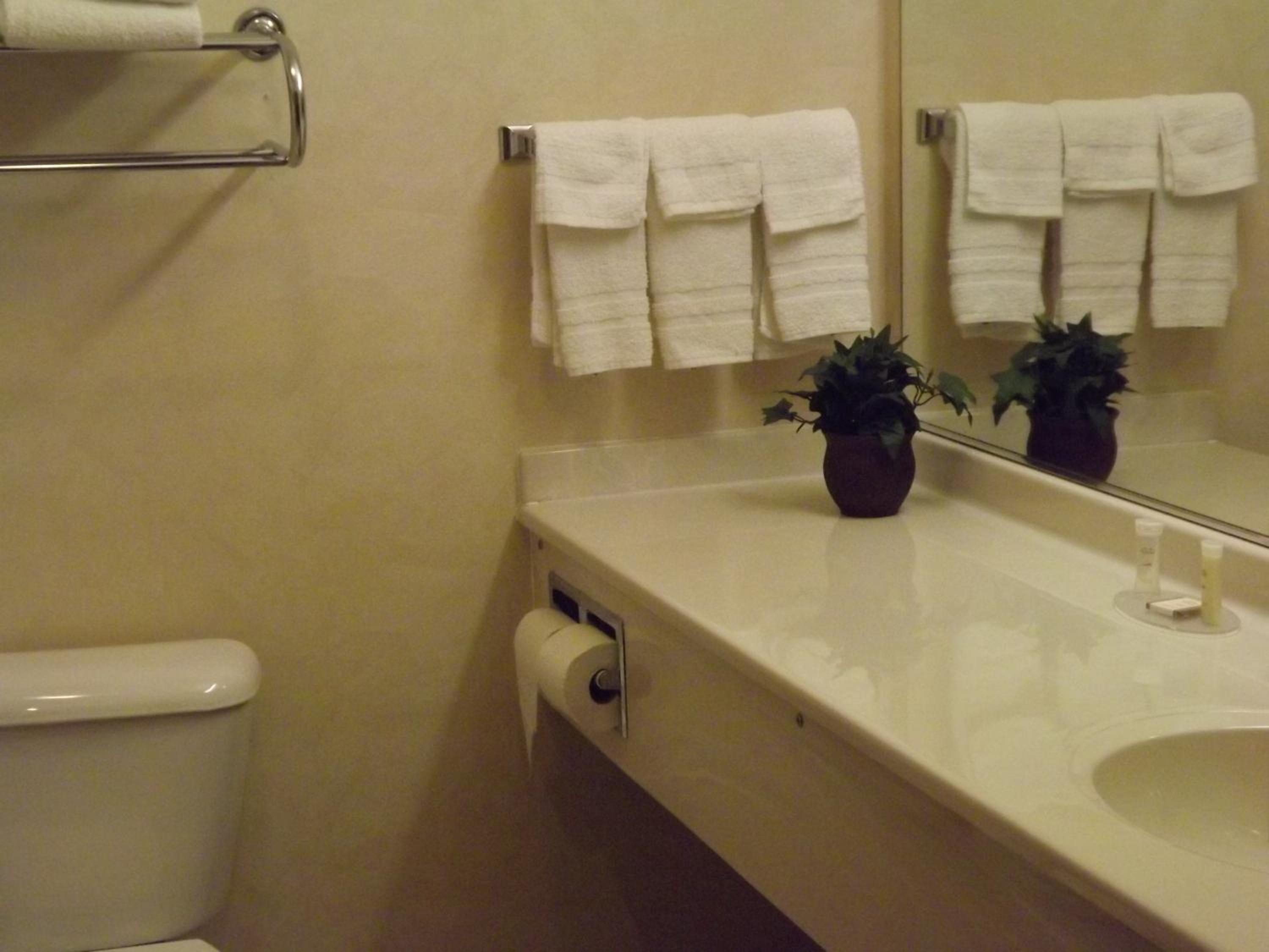 3 Queen Beds, Studio Suite, Non-Smoking - Photo 2