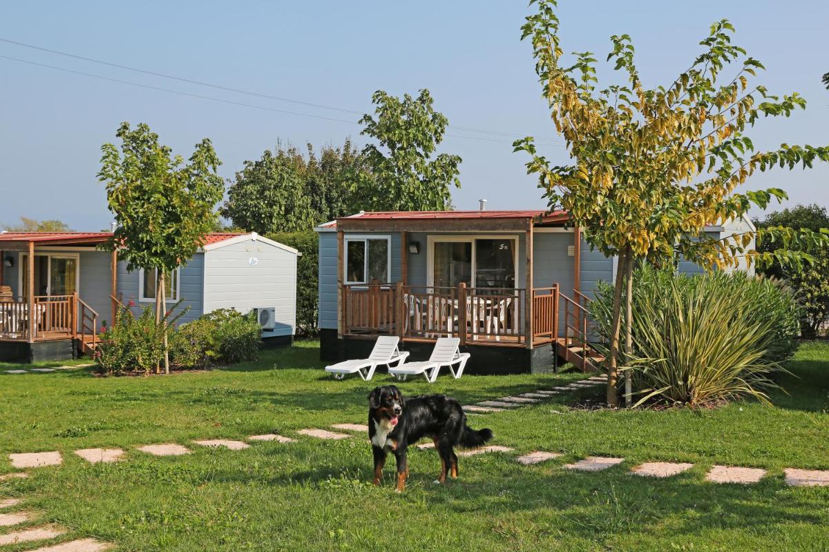 Mobile Home photo 2