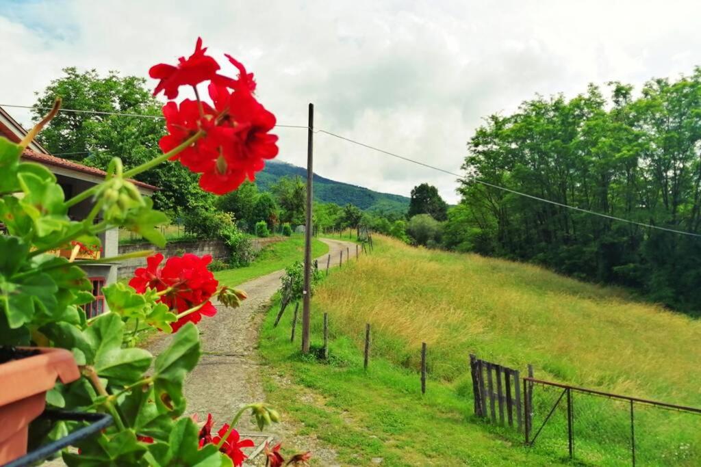 Vacation Home - Photo 24