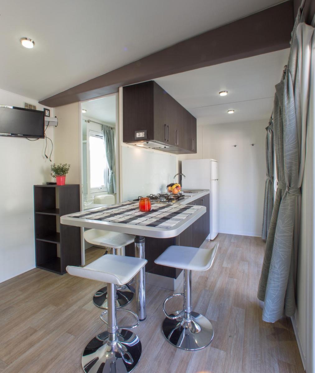 Mobile Home photo 1