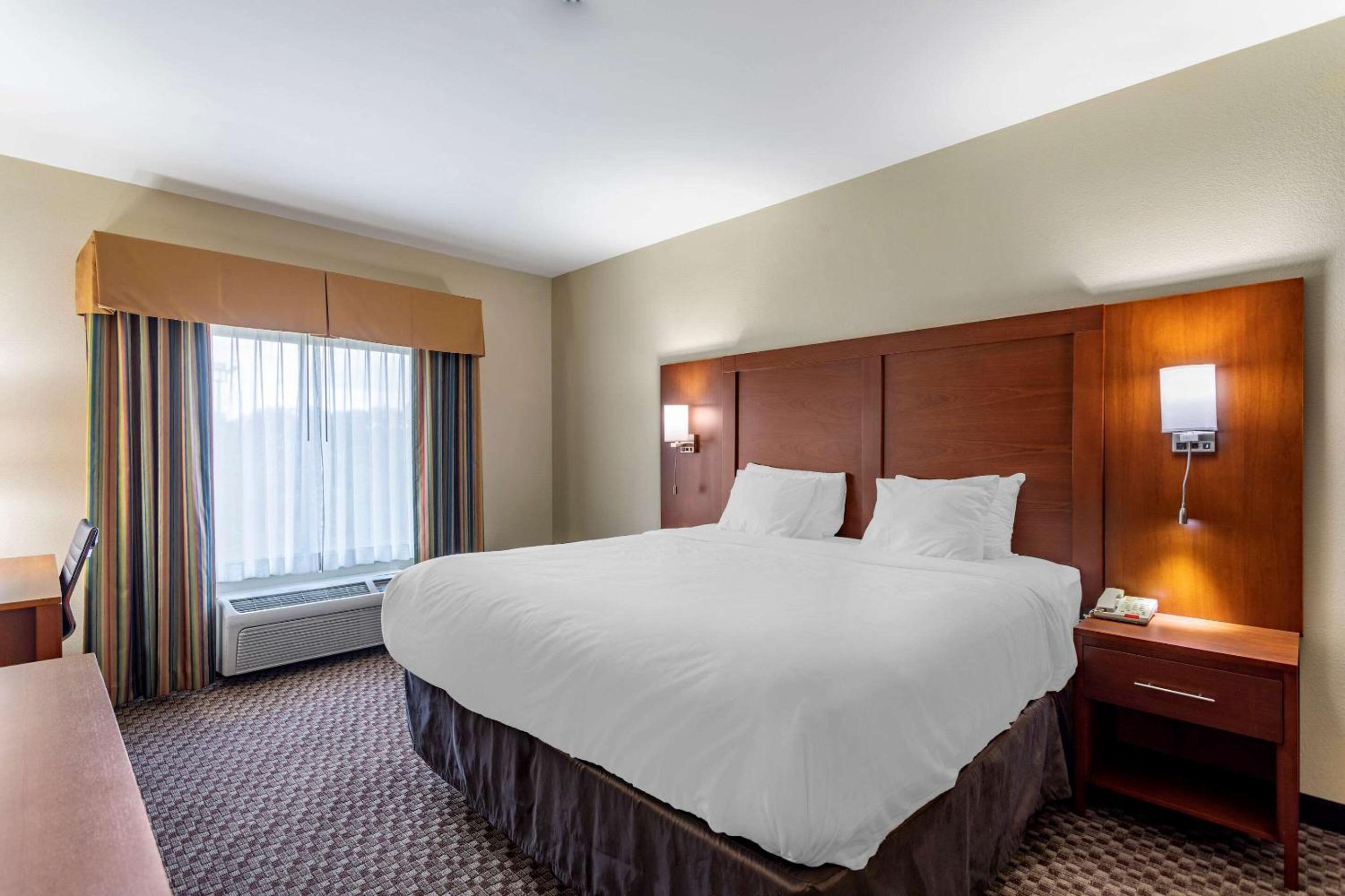 King Suite - Non-Smoking photo 1